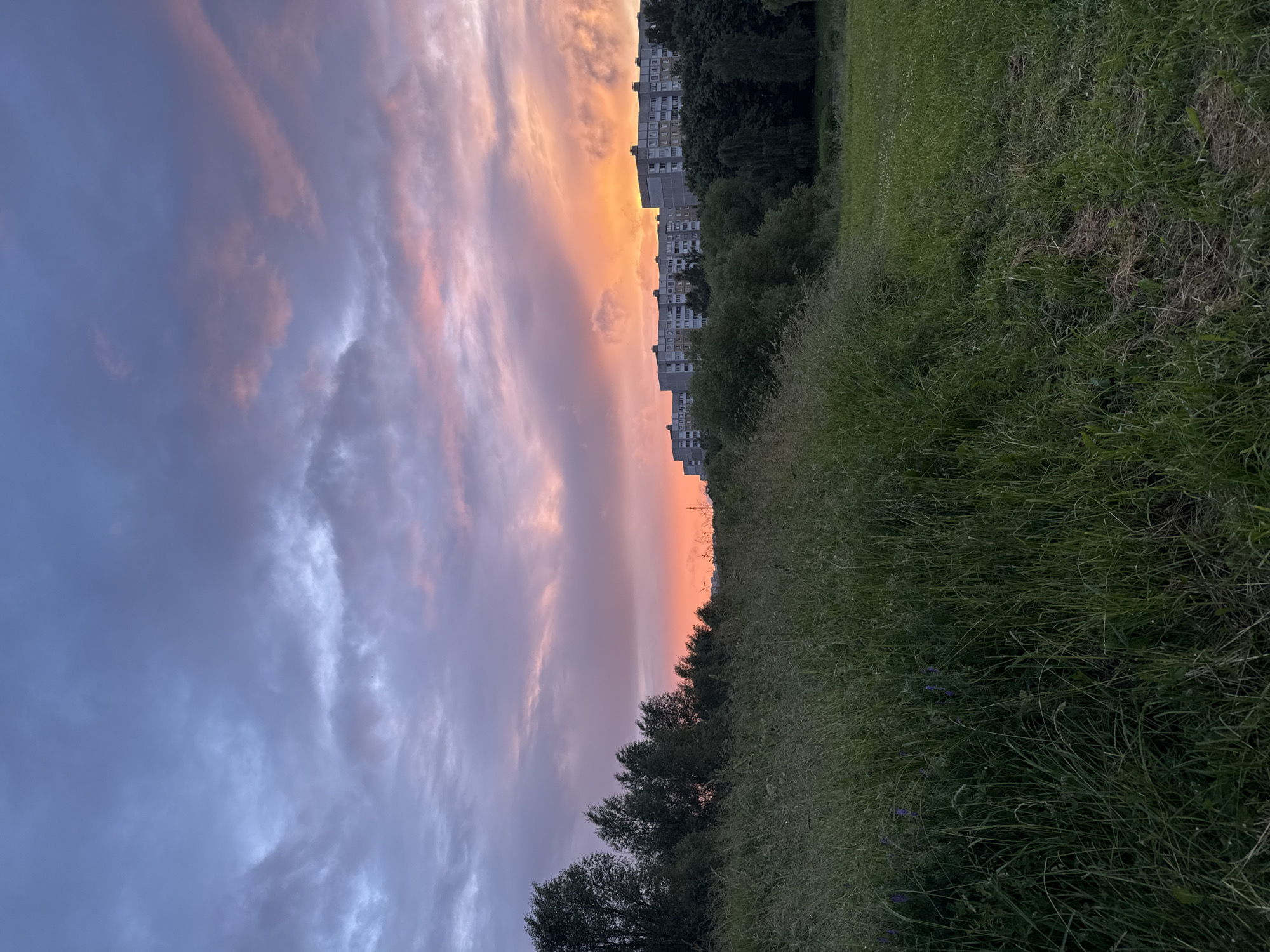 The image captures a dusky sky over a residential area in Minsk, Belarus. The sky exhibits a gradient of colors, transitioning from a deep blue at the top to vibrant oranges and pinks near the horizon, indicating sunset or sunrise. Scattered clouds with soft, diffused edges contribute to the atmospheric effect. Below the sky, a line of multi-story apartment buildings, typical of Soviet-era architecture, stretches across the mid-ground, partially obscured by trees. A dense band of trees, with wind-swept branches, occupies the left and middle sections of the frame. In the foreground, a grassy embankment, with tall, wild grass and some patches of shorter, mowed grass, dominates the lower portion of the image. The overall scene depicts a natural landscape juxtaposed with urban development under a dramatic sky.