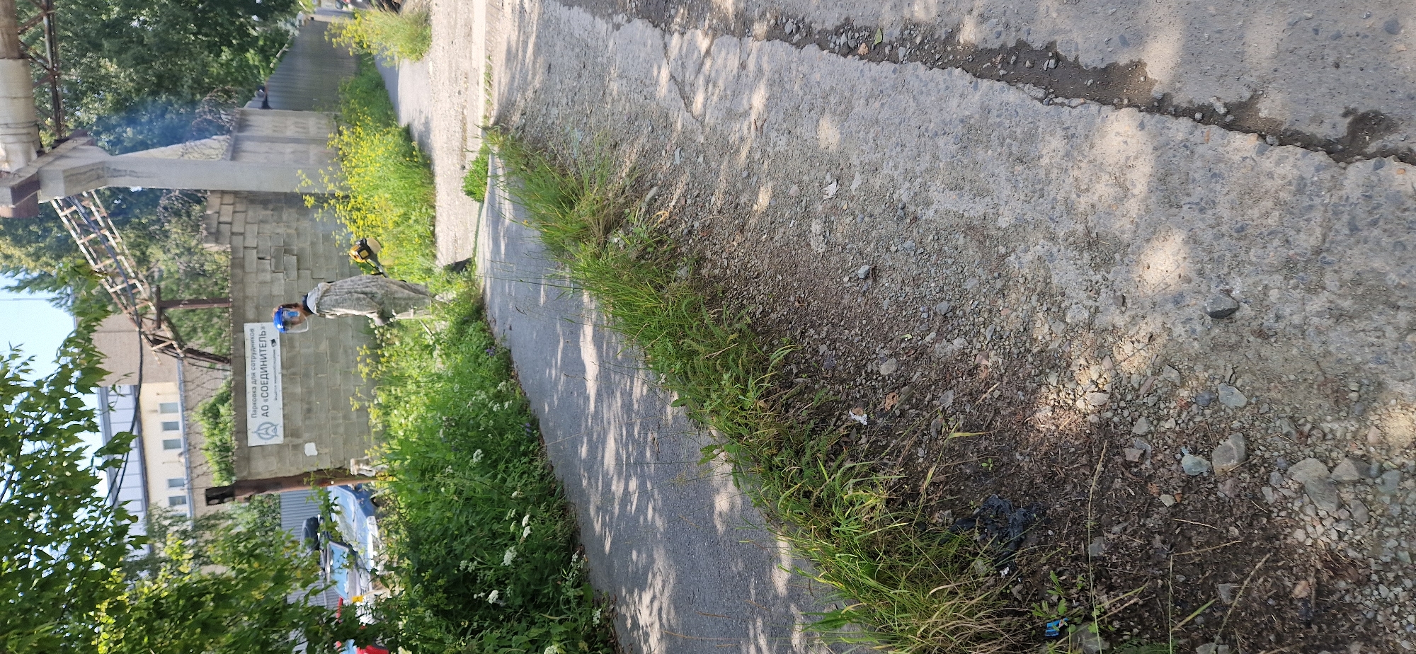 A person in camouflage overalls and a face shield operates a weed trimmer on a paved path next to a brick wall. The weed trimmer is yellow and black. There is dense green vegetation and some yellow wildflowers growing along the path and wall. In the background, there are cars parked, a building, and a metal structure. The scene is outdoors, and the lighting suggests it is daytime.