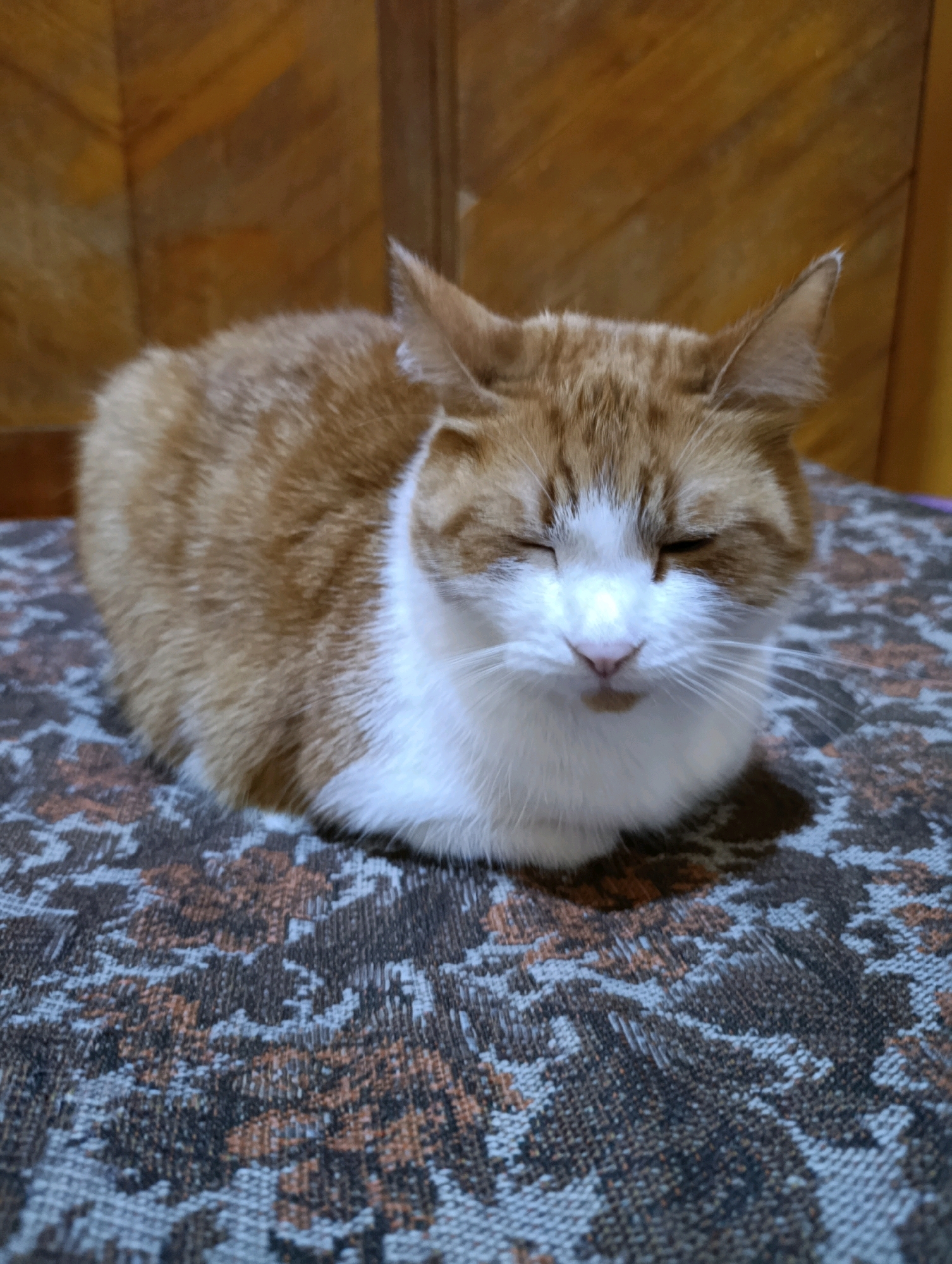 A medium shot, eye-level photograph shows a ginger and white cat lying on a patterned surface. The cat is curled up with its eyes closed, appearing to be asleep or resting. Its fur is orange with white markings on its face, chest, and paws. The cat's ears are perked up, and its whiskers are visible. The surface it is lying on has a textured pattern of brown, grey, and white. In the background, a wooden surface with diagonal lines is visible, suggesting furniture or a wall. The lighting in the scene is soft, creating shadows around the cat. The location is described as being in Cherkasy, Ukraine.