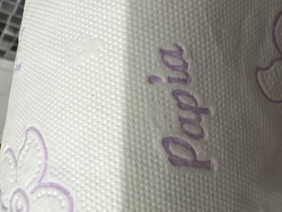 The scene is located in Stefan Karadja, Bulgaria. The image depicts a close-up, angled view of a white, textured roll of paper product. The paper's surface features a consistent, embossed grid pattern. The word "Papia" is printed in a light purple, cursive font across the central portion of the visible paper surface. Additionally, a faint, light purple outline of a floral or leaf-like design is partially visible in the upper-left and lower-right sections. The background, out of focus in the upper right, shows a tiled surface with dark grout lines, indicating an indoor environment. No individuals, direct actions, or specific interactions are present in the frame. The lighting is uniform and ambient.