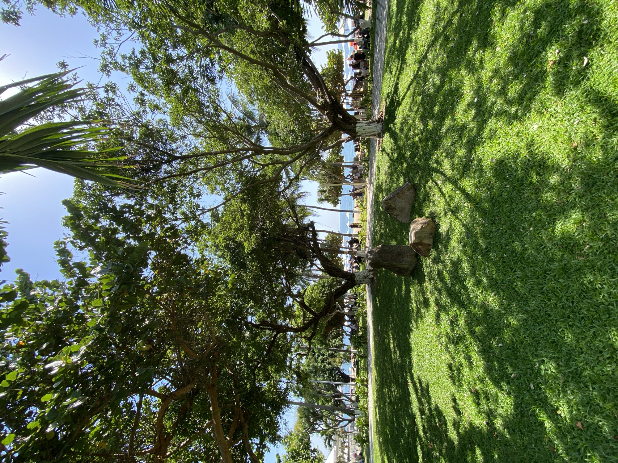The image depicts a sunny day in Nha Trang, Vietnam, likely at a coastal resort or park. In the foreground, a lush green lawn is dotted with three large, light-colored rocks and dappled with shade from the surrounding trees. In the mid-ground, several mature trees with thick trunks and abundant green foliage dominate the scene. One of these trees has white paint around its base. Beyond the trees, a pathway or paved area is visible, with people seated or walking. Further in the background, there is a beach with white umbrellas, lounge chairs, and a body of water, presumably the sea, under a clear blue sky. The atmosphere suggests a relaxed, vacation-like setting.