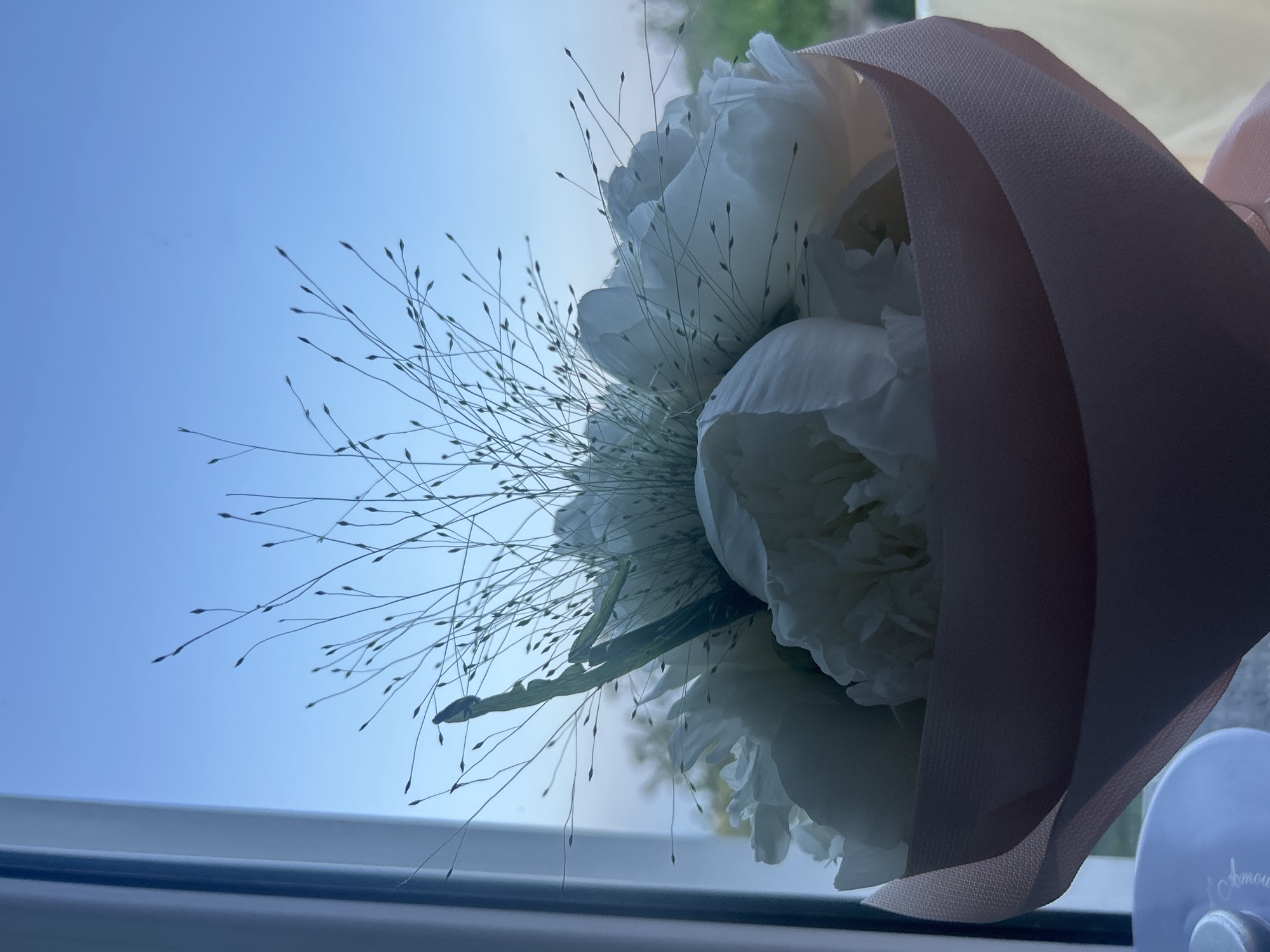 The image depicts a bouquet of white flowers, possibly peonies, interspersed with delicate stems of small, seed-bearing grass. The bouquet is wrapped in a light pink or beige paper or fabric. The scene is likely indoors near a window, as a gradient of blue sky is visible in the background, hinting at daylight. A portion of a window frame is visible. There are no people in the image. The location is Unknown, Unknown.