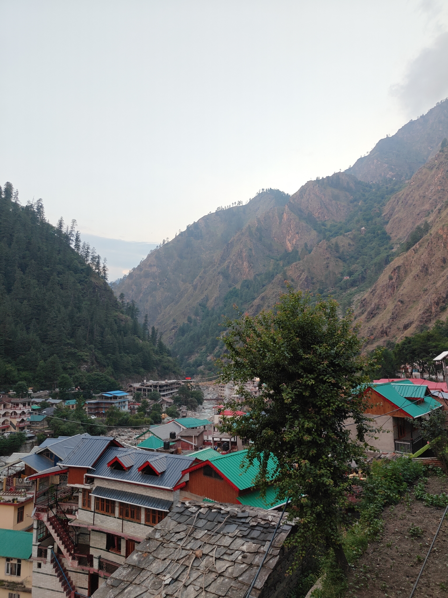 This image presents a panoramic view of Manikaran, a town nestled in a mountainous valley in India. The scene is dominated by majestic mountains on either side, sloping down towards the valley floor where the town is situated.
On the left, the mountains are densely covered with lush green coniferous forests, creating a vibrant, dark green expanse that extends downwards. The mountains on the right are more rugged and rocky, with visible rock formations and patches of sparser vegetation, appearing in earthy tones of brown and grey.
The town itself consists of numerous multi-story buildings, characterized by their varied architectural styles. Many roofs are distinctly colored, with a significant number featuring bright teal or emerald green metal sheeting, contrasting with others that are dark grey or blue. Some older structures in the foreground exhibit traditional grey slate tiled roofs. External staircases and balconies are visible on several buildings, indicating their multi-level construction. A prominent, leafy green tree stands in the foreground, partially obscuring some of the rooftops.
In the distance, a river or stream can be seen winding through the valley, flanked by more buildings. The sky is overcast and hazy, suggesting a cloudy day, early morning, or late afternoon, as the light is soft and diffused rather than direct sunlight. The overall atmosphere is tranquil and serene, highlighting the harmonious integration of the town within the dramatic natural landscape. There are no discernible people or specific activities taking place, and no visible text in the image.