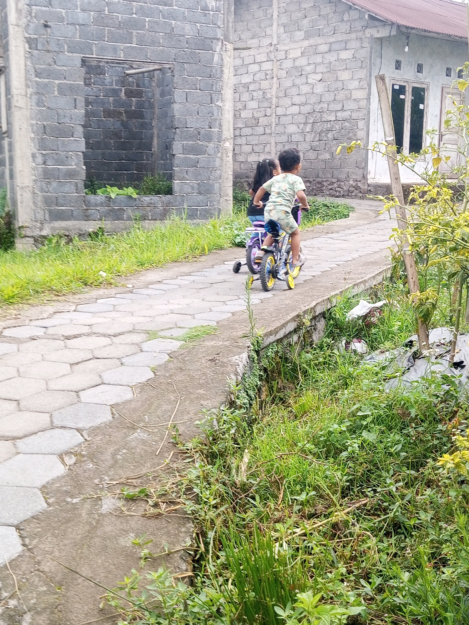 In the village of Krasak, Indonesia, two young children are captured in a moment of outdoor activity. The scene unfolds on a paved pathway, likely a residential street or a path through a rural area, characterized by its hexagonal stone paving. On the right side of the pathway, a small concrete channel or ditch is visible, filled with lush green vegetation. Beyond the channel, more foliage and a section of black plastic sheeting suggest a cultivated area or garden.
The primary subjects are two children riding a bicycle equipped with training wheels. The child in front, wearing a light-colored shirt with a patterned print and dark shorts, is actively pedaling. Behind them, another child, whose face is obscured, sits on the same bicycle, facing forward. The bicycle itself is a vibrant purple and yellow.
The background features architectural elements typical of Indonesian villages. To the left, an unfinished building constructed from grey bricks stands incomplete, with an open, rectangular void that exposes more brickwork and greenery within. To the right, a modest, light-colored house with a reddish-brown roof is visible. The house has simple windows and a door, and a wooden post leans against its exterior wall. The overall environment is one of rural simplicity, with abundant greenery interspersed with basic man-made structures. The lighting suggests it is daytime, with soft, diffused light indicating overcast conditions or possibly early morning or late afternoon.
