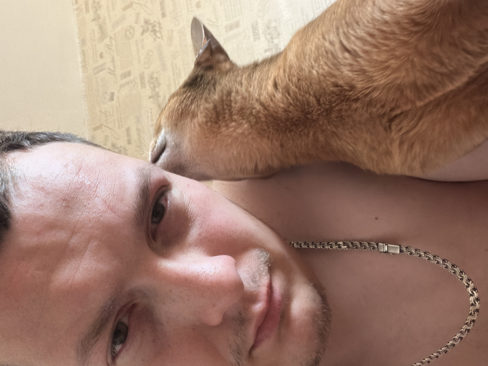 A close-up selfie shows a fair-skinned man with short, dark hair and a stubbly beard. He has light eyes. A reddish-brown cat is positioned on the man's head, its head resting on his forehead. The cat's ear is visible. A silver-colored chain necklace is around the man's neck. The background features a light-colored wall with a subtle, textured pattern. No specific details are available to confirm the location as Chaikovsky, Russia.
