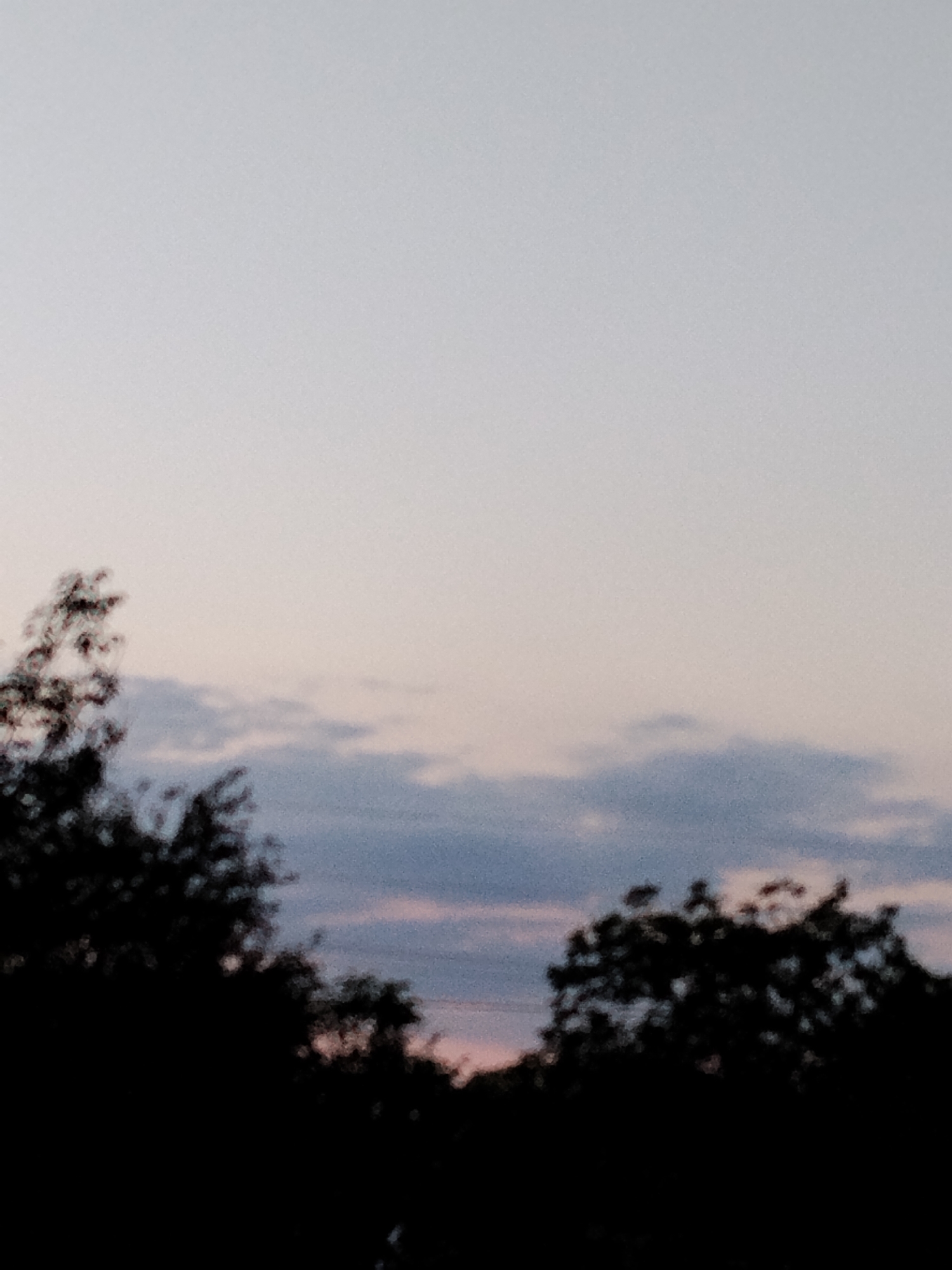 The image shows a silhouette of trees against a dusky sky. The sky is a pale, soft gradient, transitioning from a light blue at the horizon to a lighter, almost white hue at the top. There are thin, wispy clouds scattered across the sky, some appearing light gray and others tinged with pink and purple from the fading sunlight. The trees in the foreground are dark, almost black, and their shapes are indistinct, suggesting they are in silhouette. The overall impression is of a peaceful, twilight scene. The location is Ustyvytsia, Ukraine.