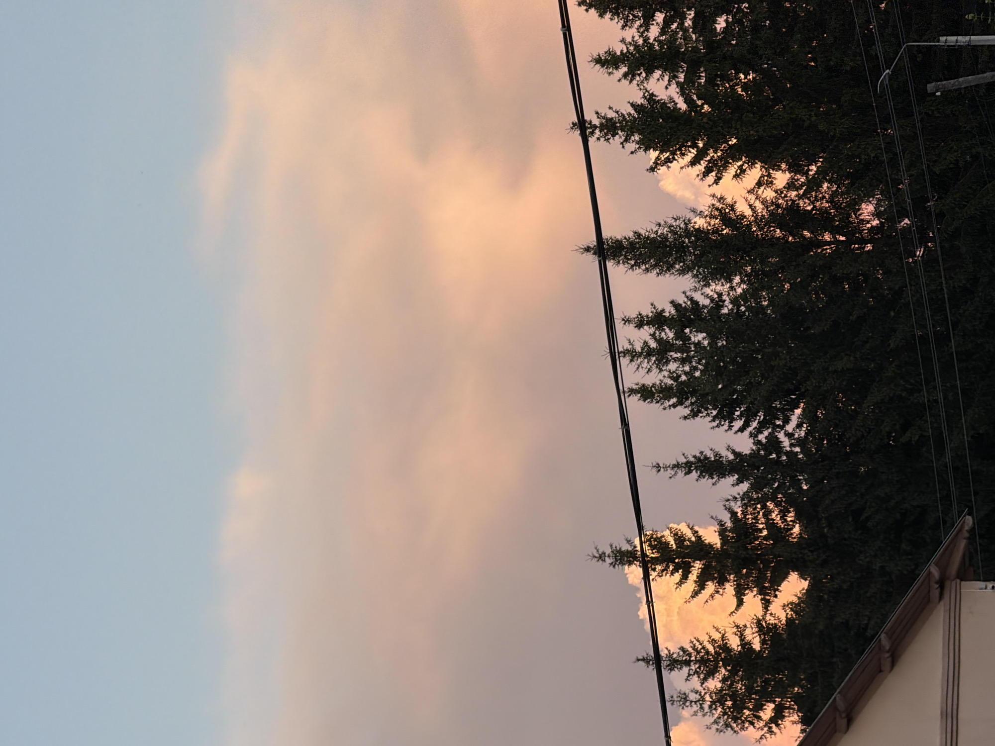 This is a vertically oriented photograph of a sky at sunset. The left side of the image is predominantly a soft blue, transitioning into a gradient of pale pink and orange hues as it moves towards the right. Wispy clouds are visible, catching the sunset light and adding texture to the sky.
On the right side of the frame, the dark green silhouettes of coniferous trees dominate the scene. Their branches are sharply defined against the colorful sky. A power line with multiple cables runs vertically down the center-right of the image, passing in front of the trees and sky. A sliver of a light-colored building with a dark roofline is visible in the bottom right corner.
The lighting suggests it is late evening, with the sun low on the horizon, casting warm colors across the clouds. The presence of trees and a building indicates an outdoor, likely semi-urban or rural setting. There is no visible text in the image. The overall mood is peaceful and serene, capturing the beauty of a sunset.