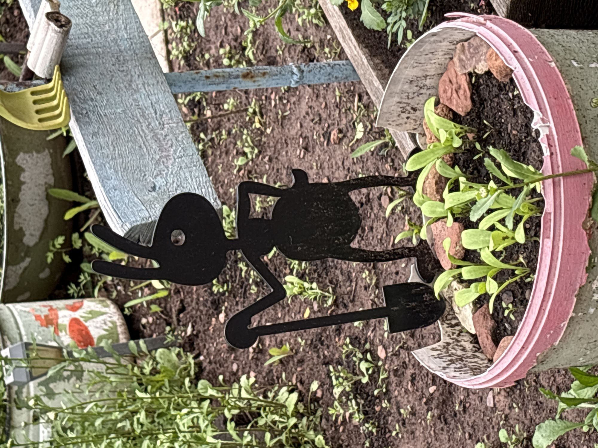 A black metal garden ornament of a rabbit holding a shovel stands in a pot of seedlings. The pot is a repurposed grey plastic bucket with a pink rim. The background shows soil, more seedlings, and decorative garden items, including a blue wooden plank with a yellow rake head attached. The scene appears to be a domestic garden. The specific location in Bratsk, Russia, cannot be determined from the image.