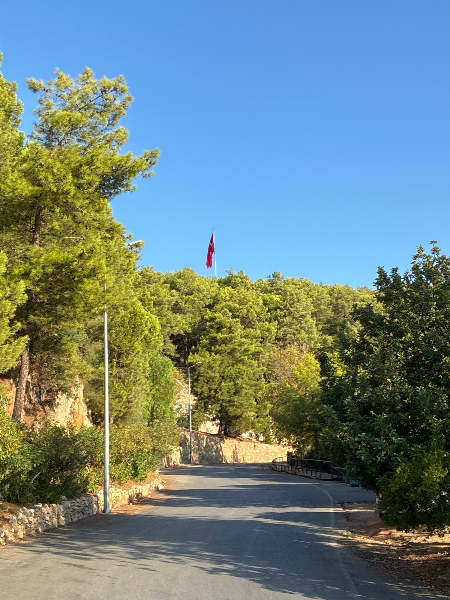 A paved road curves through a wooded area, lined with lush green trees and bushes. A stone wall runs along the side of the road in the foreground, and a modern-style lamppost stands nearby. In the distance, atop a tree-covered hill, a Turkish flag flies from a flagpole. The sky is a clear, bright blue. The overall scene depicts a scenic, natural environment within or near Alanya, Turkey. There are no people or animals visible in the image.
