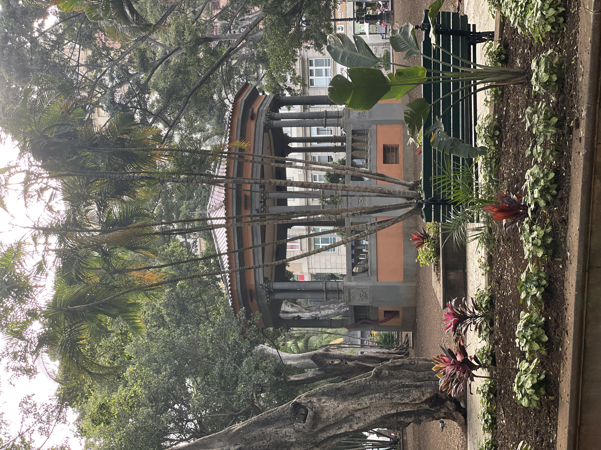 This image depicts a gazebo or bandstand in Santa Cruz de Tenerife, Spain. The structure has a multi-tiered roof and is supported by numerous columns. Palm trees and other foliage partially obscure the view. A bench is situated nearby, surrounded by greenery. Buildings are visible in the background. The lighting suggests a sunny day.