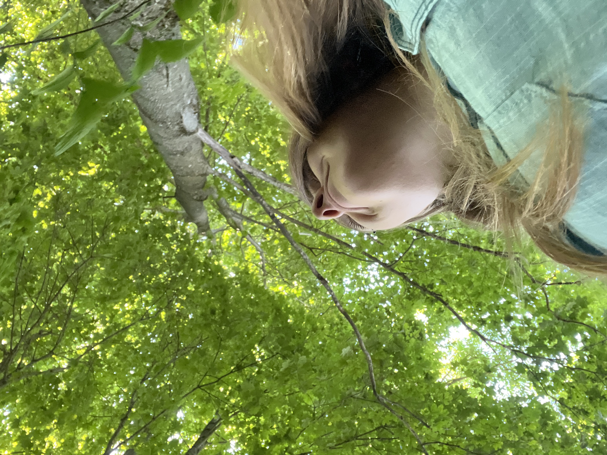 In a low-angle shot looking up, a person is positioned in the bottom right corner, their face turned upwards and slightly to the left. They have light brown hair, and are wearing a light blue button-up shirt. Their features are partially obscured by the angle and the hair. The background is dominated by the dense green foliage of trees, with a rough tree trunk visible diagonally across the frame. Sunlight filters through the leaves, creating bright spots and dappled light. The environment appears to be a natural, wooded area, possibly a park or forest, consistent with the rural setting of Германавіцкі сельскі Савет, Belarus.