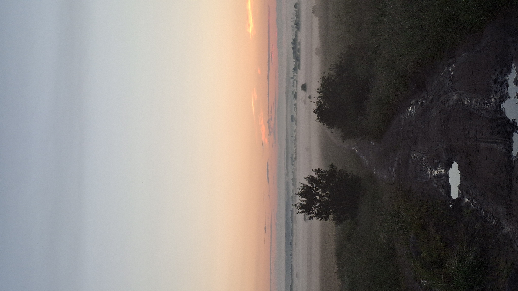 The image depicts a rural scene at dawn or dusk in Kaporskoe, Russia. The sky transitions from a pale blue on the left to warm orange and pink hues on the right, indicating the presence of the sun just above or below the horizon. A thick layer of fog blankets the landscape, obscuring details and creating a soft, ethereal atmosphere.
On the right side of the frame, a muddy track or path winds through overgrown vegetation. The ground appears wet and uneven, with several puddles reflecting the dim light. Dark green bushes and trees line the path, their silhouettes softened by the fog. A lone tree stands in the middle ground, its branches reaching out into the mist. In the distance, the fog creates a hazy horizon, with faint shapes suggesting buildings or structures.
The overall mood of the image is serene and tranquil, with a touch of mystery due to the fog. The natural light, soft colors, and quiet landscape evoke a sense of peace and solitude. There is no visible text in the image.