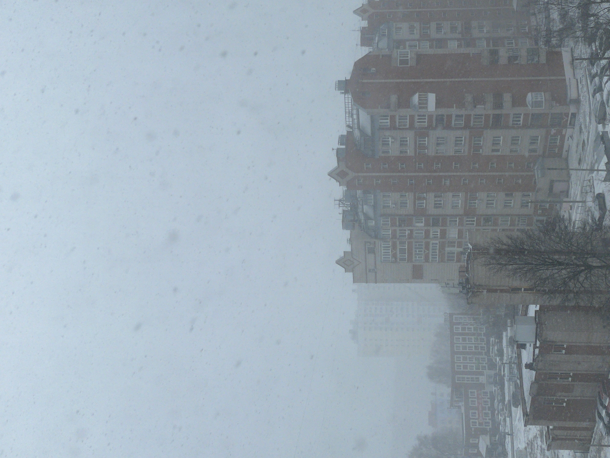The image depicts a snowy day in Izhevsk, Russia, with the presence of residential buildings. The buildings are brick and multi-storied, with numerous windows. Snow is falling heavily, creating a hazy atmosphere that obscures the visibility of the buildings in the background. The focus is on the building on the right. A bare tree is present in front of one of the buildings.