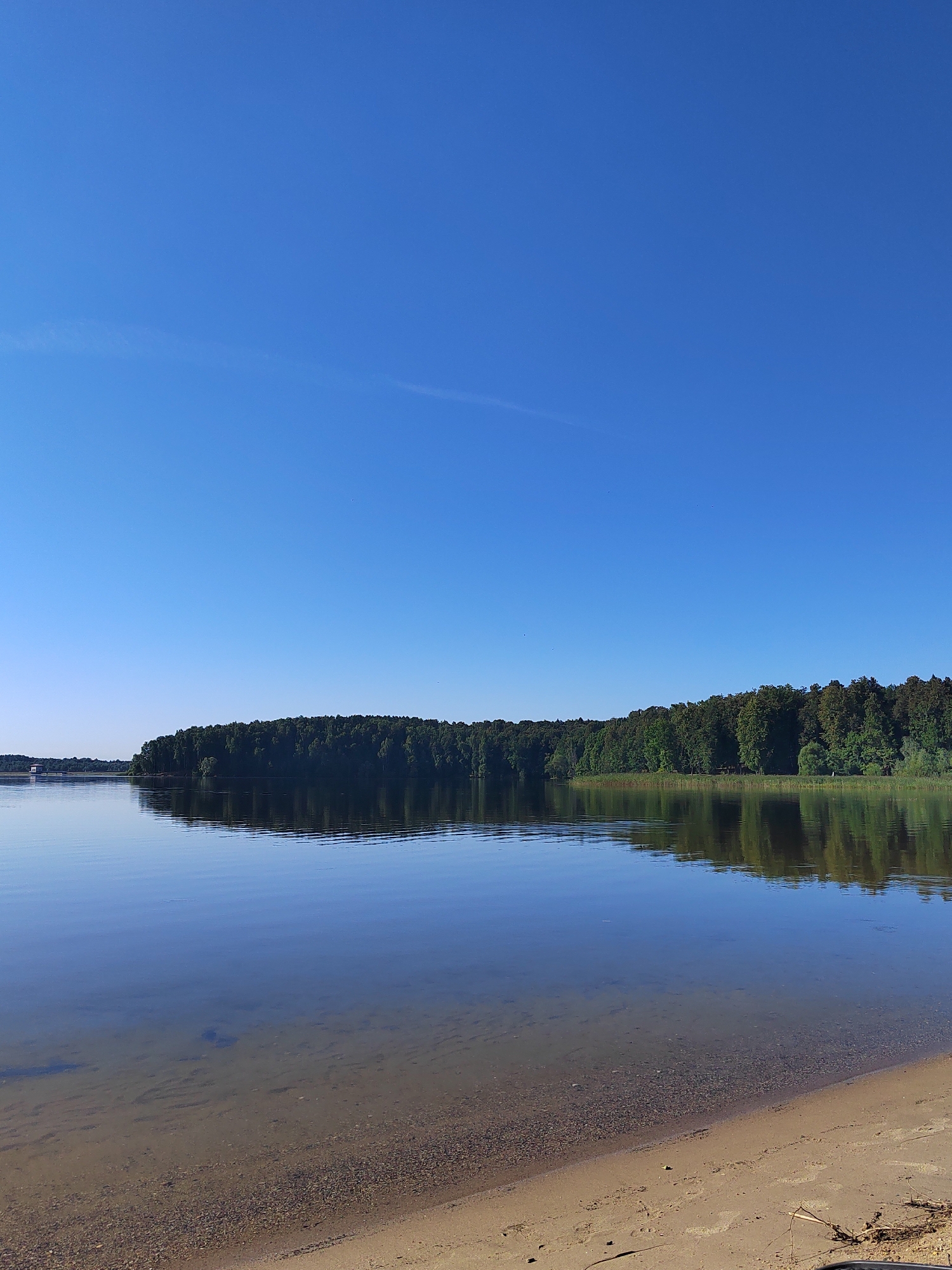 The image shows a serene natural landscape at the posyolok Gidrouzla imeni Kuybysheva, Russia. A wide, calm body of water occupies the foreground, its surface reflecting the clear blue sky and the dense green forest that lines the opposite bank. The water is shallow near the sandy shore in the bottom right, allowing the seabed with pebbles and sand to be visible. The forest is a dark, unbroken line of trees, with its reflection shimmering on the water's surface, creating a mirror-like effect. The sky is an expanse of unbroken, deep blue, suggesting a clear and sunny day. In the far distance, on the left bank, a structure resembling a dam or a building with white elements is visible. There are no people or animals depicted in the image.