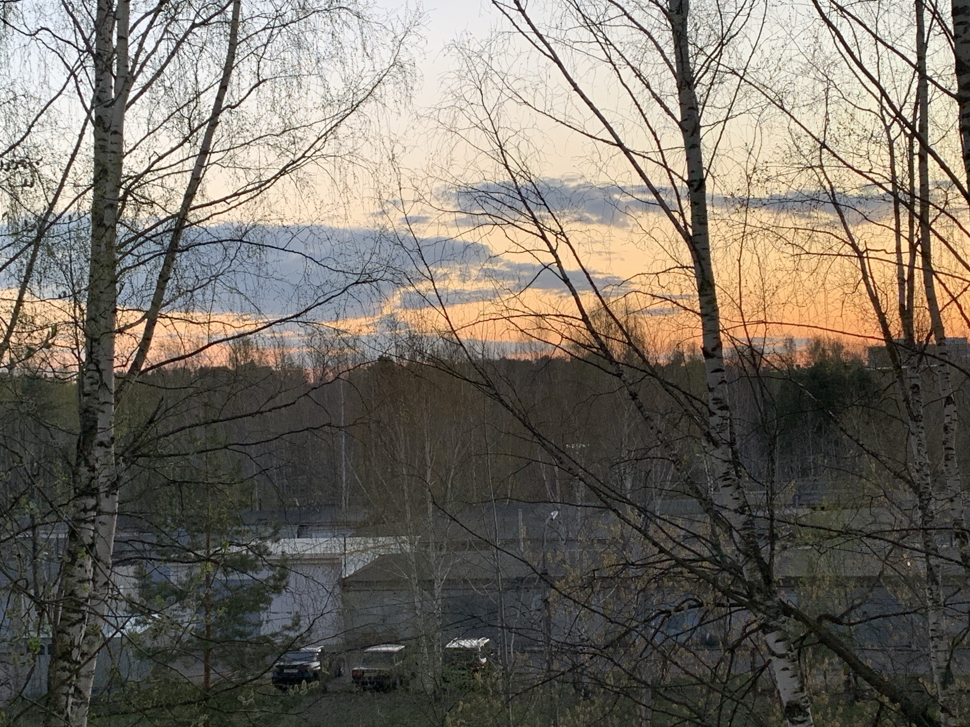 The image shows a view of a cityscape through a frame of bare birch trees, likely in Chaikovsky, Russia. In the background, a forest line is visible against a sunset sky with orange and blue hues. Below the forest, a cluster of low industrial buildings with flat roofs can be seen. In front of the buildings, there are several parked vehicles. The overall scene suggests a residential area bordering an industrial zone on the outskirts of the city.