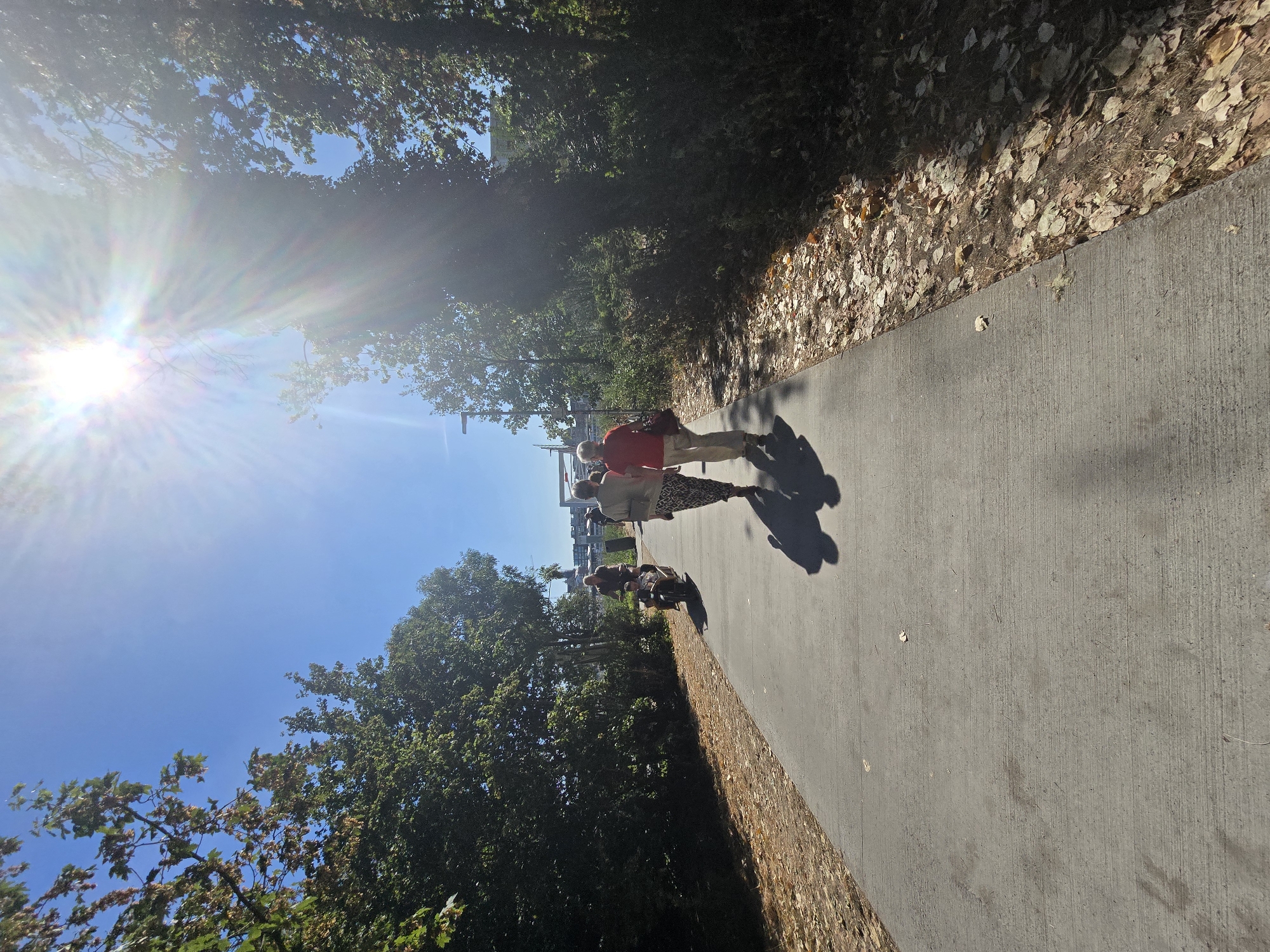 A sun-drenched pathway in Antwerp, Belgium, winds through a park-like setting. Two women, one in a red shirt and the other in a patterned dress, walk away from the camera towards the sun, their shadows stretching before them. Further ahead, a man rides a cargo bike, appearing to be transporting a child. The pathway is bordered by lush green trees on the left and a dense line of bushes and trees on the right, with fallen leaves scattered on the ground. In the distance, buildings and a glimpse of a city skyline are visible under a clear blue sky illuminated by bright sunlight.