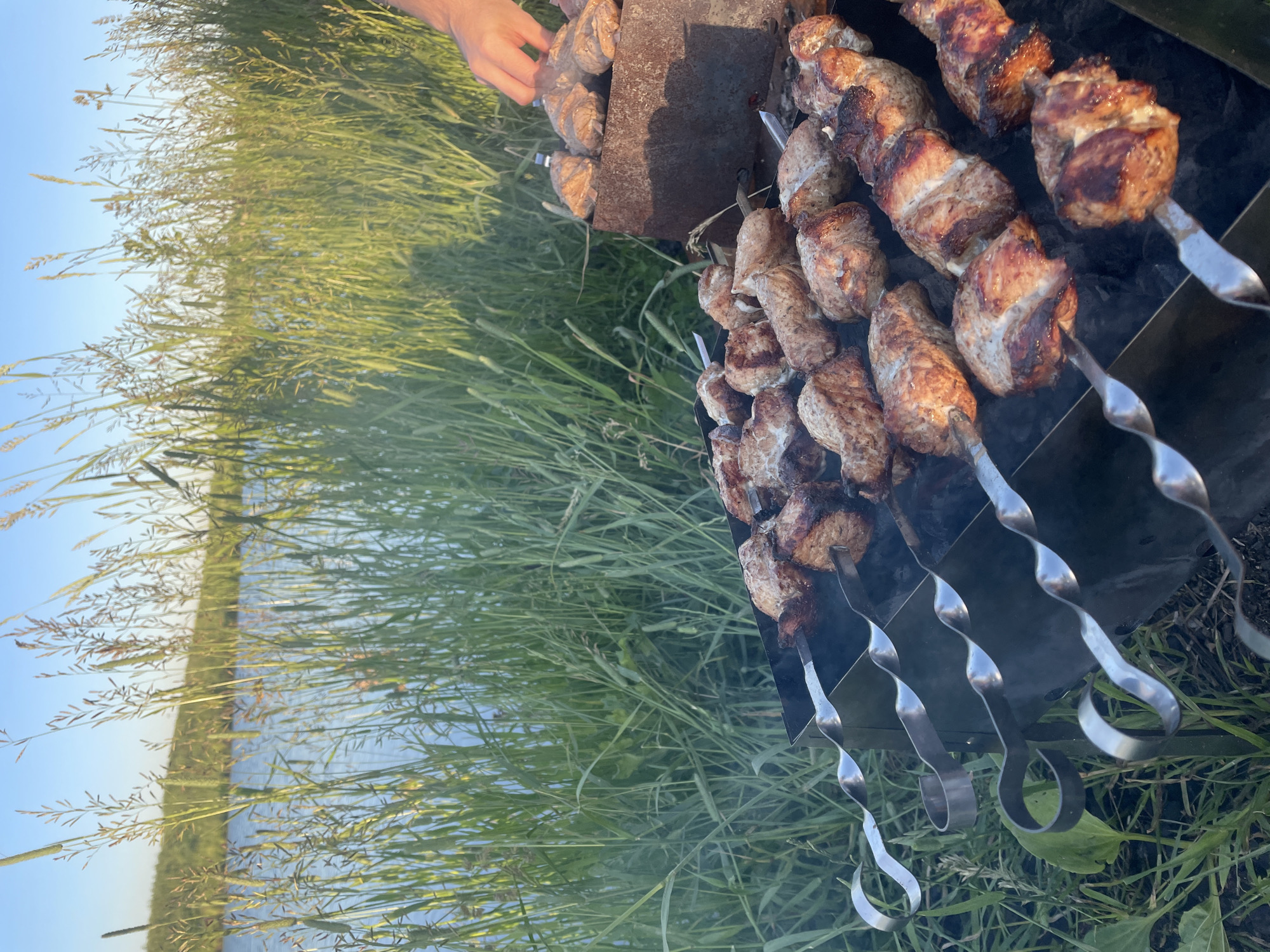 A close-up, high-angle shot shows several skewers of meat being grilled over charcoal in a metal barbecue. The meat is browned and some pieces are slightly charred. In the background, tall green grass and reeds grow alongside a body of water. The sky above is clear and blue. A person's hand is visible on the right side of the frame, tending to the grill. The scene appears to be a picnic or outdoor gathering. The overall setting suggests a natural environment, possibly a park or waterfront area. The image does not contain specific landmarks or features that would allow for definitive identification of a precise location within Saint Petersburg, Russia.