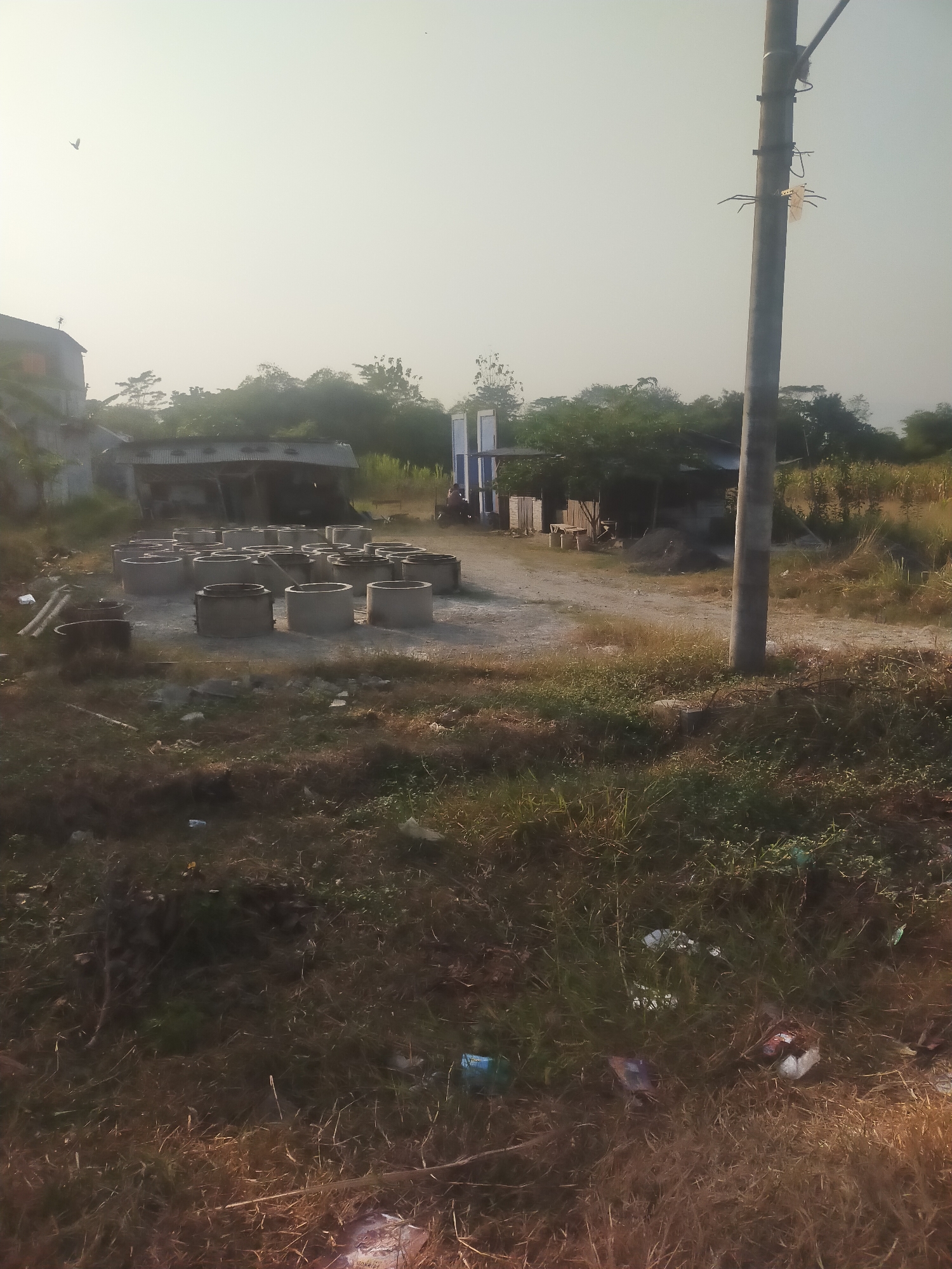 The image depicts an outdoor scene in Kambangan, Indonesia, under a hazy, light-colored sky. In the foreground, dry grass and scattered debris, including plastic bags and wrappers, cover the ground. A utility pole stands prominently on the right side of the frame, with a sign or marker attached to it. Further back, a collection of concrete culvert pipes is arranged in a lot. Beyond the pipes, several low-lying structures with corrugated metal roofs are visible, with trees and vegetation forming a backdrop. In the far left background, a building with a partially visible roof is present, and a bird is in flight in the sky above it. The overall impression is of an industrial or storage area on the outskirts of a settlement.