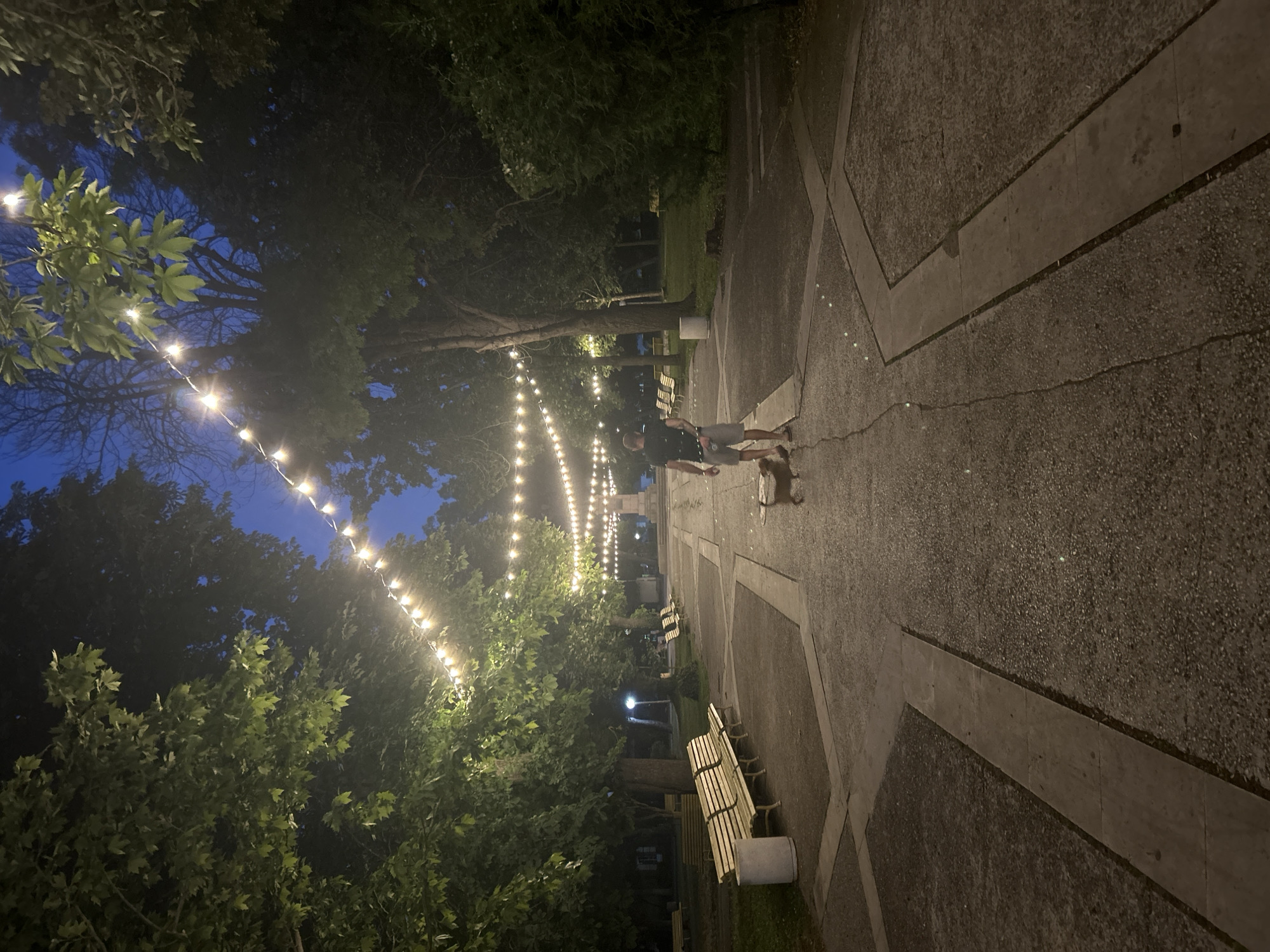 The image shows a man walking his dog on a paved path in a park at dusk. String lights are hung overhead, illuminating the trees and path. Several park benches are visible along the sides of the path. In the distance, a monument or statue can be seen. The overall atmosphere is serene and peaceful. The location is identified as Parvomay, Bulgaria.