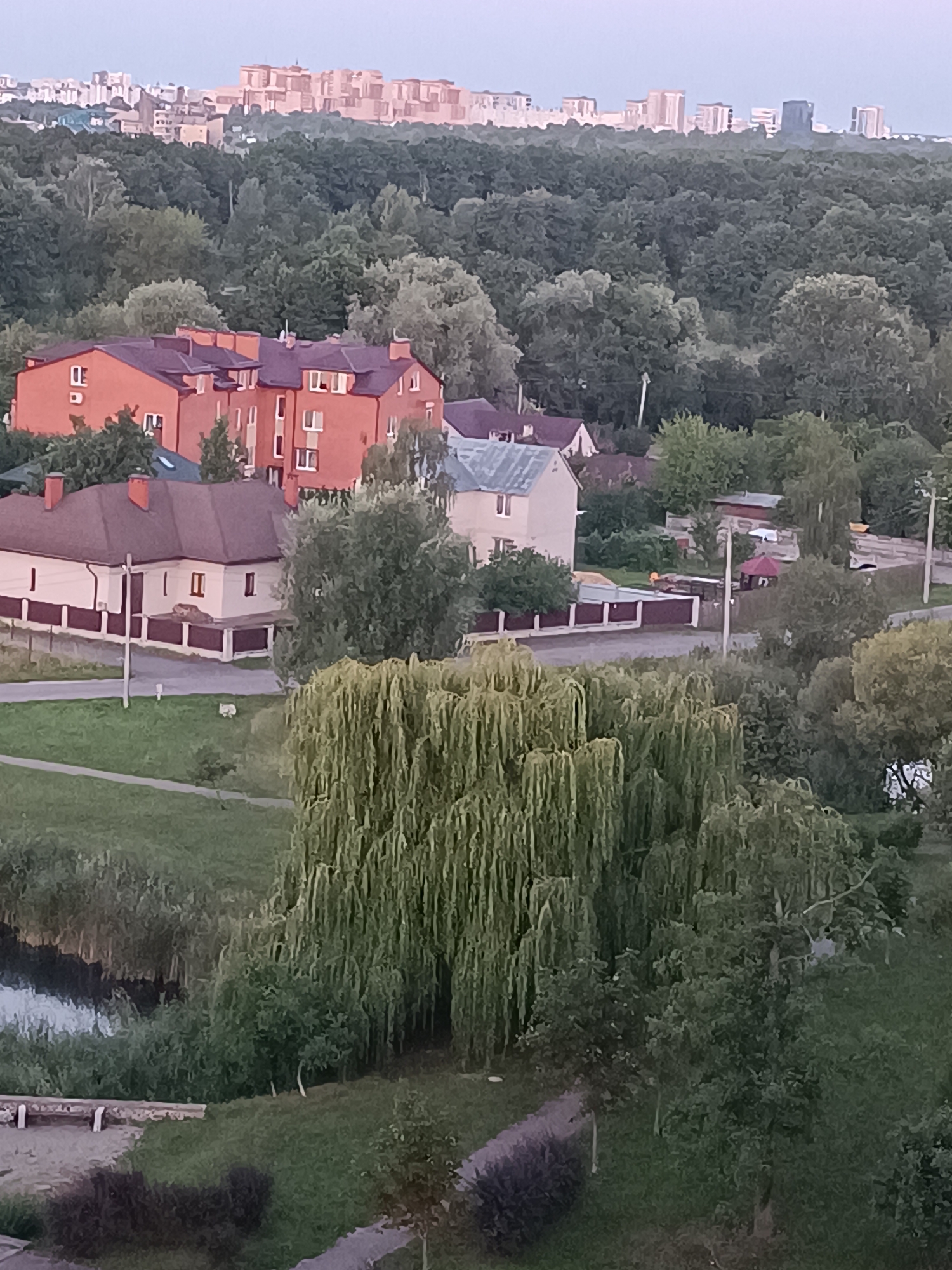 The image depicts an aerial view of a residential area with dense green trees forming a backdrop. In the foreground, a weeping willow tree with long, hanging branches dominates the scene. Behind the tree, a body of water with reflective surface is visible. Further back, several residential buildings are scattered among the trees. The buildings are of various sizes and architectural styles, with some featuring red-tiled roofs and others with lighter-colored facades. In the distance, a cityscape with numerous buildings, some of which appear to be high-rises, is visible on the horizon. The sky is overcast with a pale, diffused light, suggesting it might be early morning or late evening. The scene appears to be a quiet suburban or semi-rural area with a mix of natural greenery and man-made structures. The location is identified as Brest, Belarus.