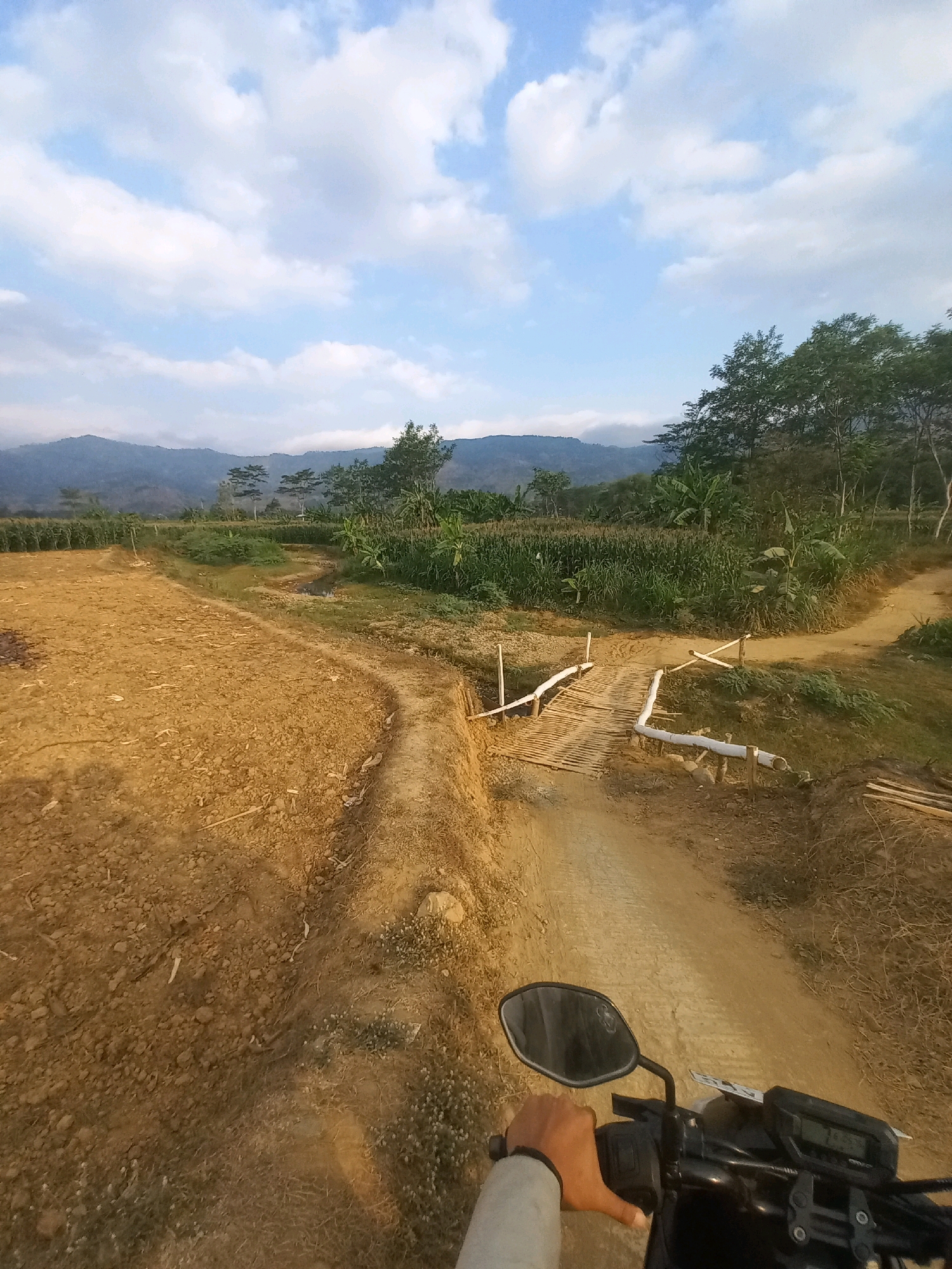 The image captures a first-person perspective of someone riding a motorcycle on a dirt path in a rural area, possibly in Wiroko, Indonesia. The scene is characterized by agricultural fields, a small wooden bridge crossing a dry stream bed, and distant mountains under a partly cloudy sky.
In the foreground, the handlebars of the motorcycle are visible, with a hand gripping the right handlebar. A rearview mirror is attached to the handlebars, reflecting the sky. The motorcycle's instrument panel shows a digital display with a time reading of "16:55".
The path ahead is a dusty, unpaved track that curves to the right. To the left of the path, a field of dry, brown earth is seen, possibly prepared for planting or recently harvested. To the right of the path, there are dense green crops, including what appears to be corn and banana trees, interspersed with other vegetation.
A simple, narrow bridge made of bamboo spans a shallow, dry creek bed. The bridge is supported by wooden posts and has railings constructed from similar materials. Beyond the bridge, the path continues and forks, with one branch leading further into the greenery and the other curving out of view to the right.
In the background, the landscape is dominated by rolling hills covered in vegetation, leading to larger, mist-shrouded mountains in the distance. The sky is a clear blue with scattered white clouds. The overall impression is of a rural, agricultural setting, possibly during the late afternoon given the time displayed on the motorcycle's panel. The lighting suggests the sun is low in the sky, casting warm tones on the earth.