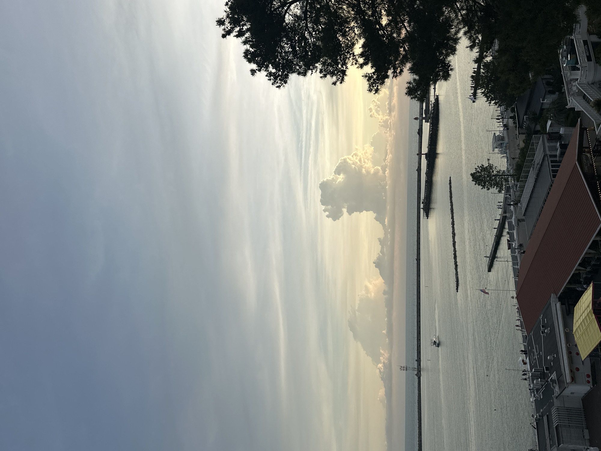 The image depicts a serene coastal scene in Sochi, Russia, likely during sunset or sunrise. A body of water, presumably the Black Sea, stretches to the horizon, meeting a sky painted with soft hues of blue, white, and pale yellow from the diffused sunlight. Several distinct cloud formations are visible, with one prominent, large cloud in the center resembling an animal or abstract figure, illuminated from behind by the setting or rising sun.
In the middle ground, a man-made harbor or pier juts out into the water, lined with breakwaters. A small boat is navigating the calm waters within the protected area. Further into the distance, lighthouses stand sentinel on the outer edges of the harbor, marking the entrance.
Along the shoreline in the foreground, a cluster of buildings suggests a developed coastal area. These structures feature a mix of architectural styles, with some exhibiting red-tiled roofs and others lighter-colored facades. There are visible signs of human activity, with small groups of people walking along the piers and promenades. A Russian flag is prominently displayed on a flagpole near one of the piers.
To the far right, the dark silhouette of a large pine tree partially obscures the view, adding a natural element to the man-made landscape. The overall impression is one of tranquility and natural beauty combined with the organized infrastructure of a coastal city.