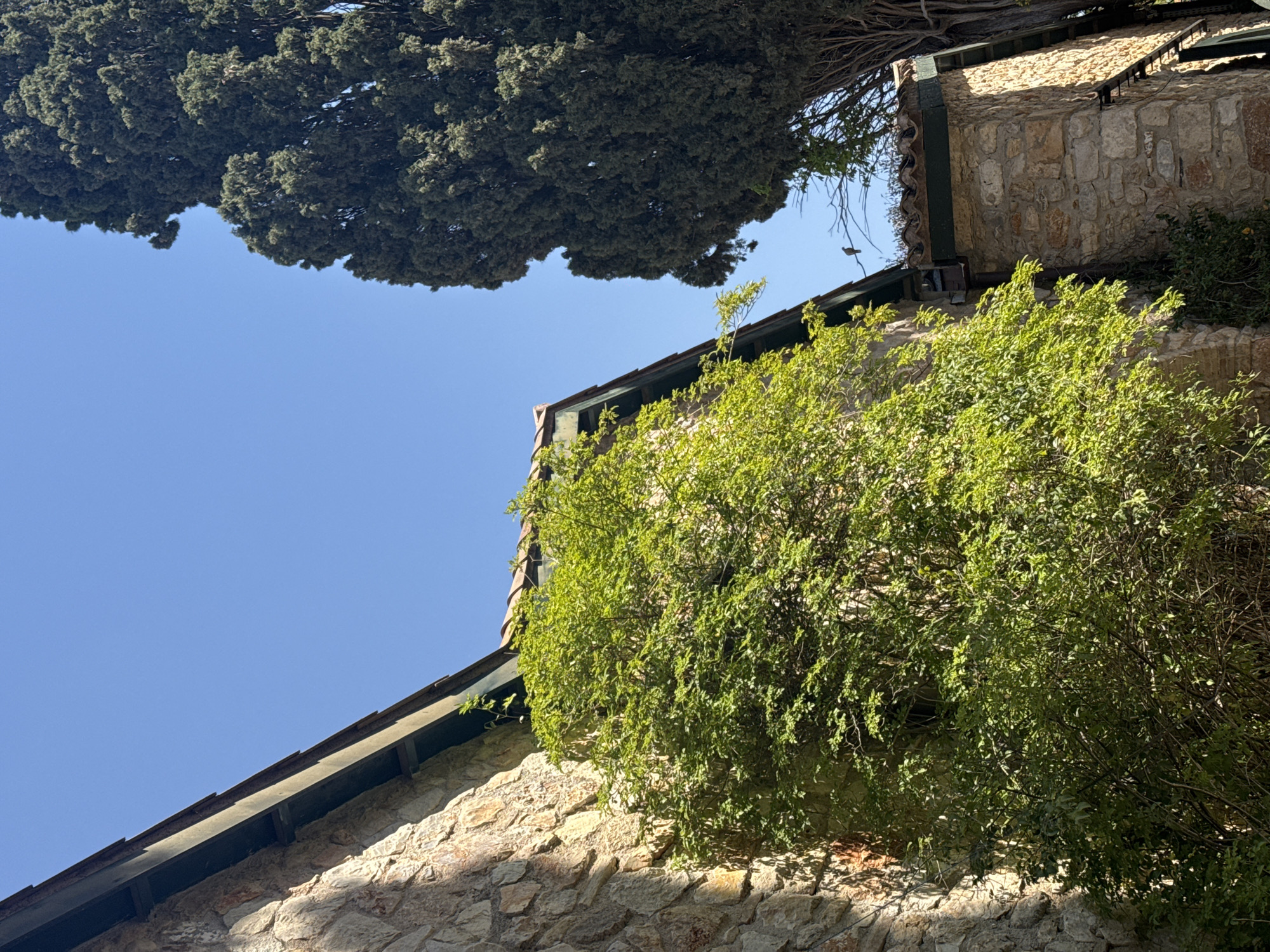 The media file presents an upward-looking, rotated view of a traditional stone building framed by lush greenery against a clear blue sky. The image appears rotated approximately 90 degrees counter-clockwise from a standard vertical orientation.
In the upper left, a large, dense tree with dark green, conifer-like foliage occupies a significant portion of the frame, silhouetted against the bright sky. Below and to the right, a stone building is prominently featured. Its walls are constructed from irregular, light-colored stone blocks, exhibiting strong highlights and deep shadows, indicating direct sunlight. The building's roofline is visible with dark eaves and what appear to be supports for terracotta tiles.
A vibrant green bush with many small leaves and branches grows adjacent to the building, partially obscuring the stone wall and adding a natural, overgrown element to the scene. The sky is a uniform, intense blue, devoid of clouds, suggesting a clear and sunny day, likely midday or early afternoon due to the strong, defined shadows.
There is no discernible activity taking place, nor is any text visible. The low-angle perspective emphasizes the height of the tree and the structure. The architectural style and natural vegetation are consistent with the provided location context of Agii Anargiri, Greece, portraying a serene, sun-drenched Mediterranean environment.