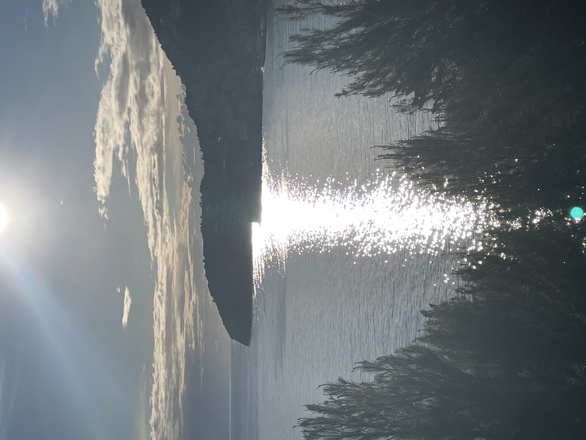 The image displays a coastal landscape in Budva, Montenegro, likely overlooking Budva Bay. The scene is dominated by a large body of calm, dark blue-grey water, upon which a prominent, shimmering path of intense sunlight reflects from the upper-center sun, extending towards the bottom right. A dark, verdant headland or island is silhouetted in the mid-ground, extending from the left towards the center. Distant, dark hills with faintly discernible structures on their slopes are visible on the right, beyond the headland. The sky is partially cloudy with scattered cumulus formations, with the bright sun positioned centrally at the top, generating lens flare. The foreground is framed by dark, out-of-focus evergreen foliage on both lower sides. No individuals, explicit actions, or specific vessels are discernible.