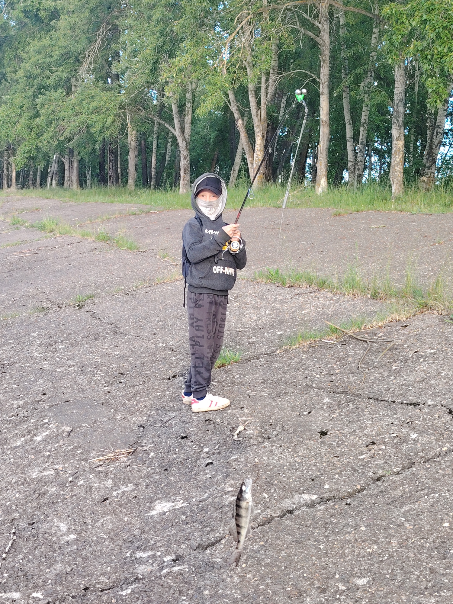A young person is captured mid-activity while fishing outdoors in Chaikovsky, Russia. The subject, appearing to be a child or teenager, stands centrally on a rough, cracked asphalt or concrete surface with scattered patches of grass. They are dressed in a dark hooded sweatshirt, which prominently displays "OFF-WHITE" text, and dark sweatpants with a repeated pattern of words such as "PLAY," "PRESS," "START," and "ESC." A baseball cap is worn under the hood, and a light-colored face covering obscures their mouth and nose. White sneakers with pink accents are visible on their feet.
The young individual holds a fishing rod firmly with both hands, positioned as if reeling in a catch. Suspended in mid-air in the lower foreground, a small, striped fish—likely a perch—dangles from the fishing line, indicating a successful catch. The background features a dense line of tall deciduous trees with light-colored bark, forming a natural barrier and suggesting a wooded or semi-forested environment. The lighting indicates it is daytime, with no strong shadows, possibly late afternoon or early evening. The scene conveys a quiet moment of recreational fishing.