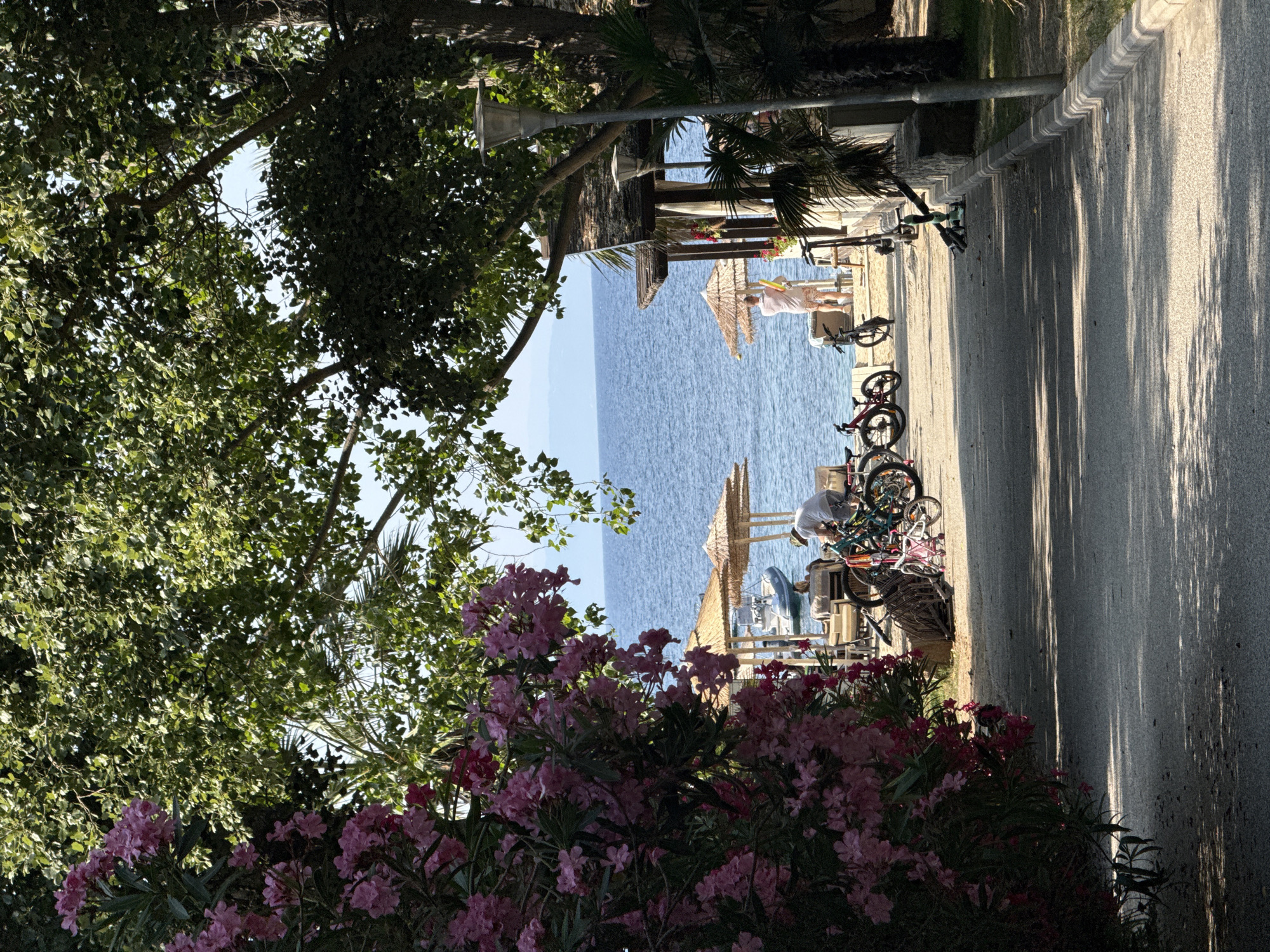 The image depicts a serene beach scene in Sithonia, Greece, on a clear, sunny day. In the foreground, a pathway leads towards the beach, with blooming pink flowers on the left and lush green trees providing shade. Several bicycles are parked on the pathway, suggesting recreational activity.
The beach itself is dotted with straw umbrellas and lounge chairs, indicating a relaxation area. The calm, blue sea stretches to the horizon, with a boat visible in the distance. A few people are present on the beach. One individual, wearing a white t-shirt and shorts, is seen adjusting a bicycle, while another person, in the background, stands near a beach structure. The overall ambiance is one of tranquility and leisure, characteristic of a popular coastal resort. The vegetation and the architectural style of the beach structure hint at a Mediterranean setting.