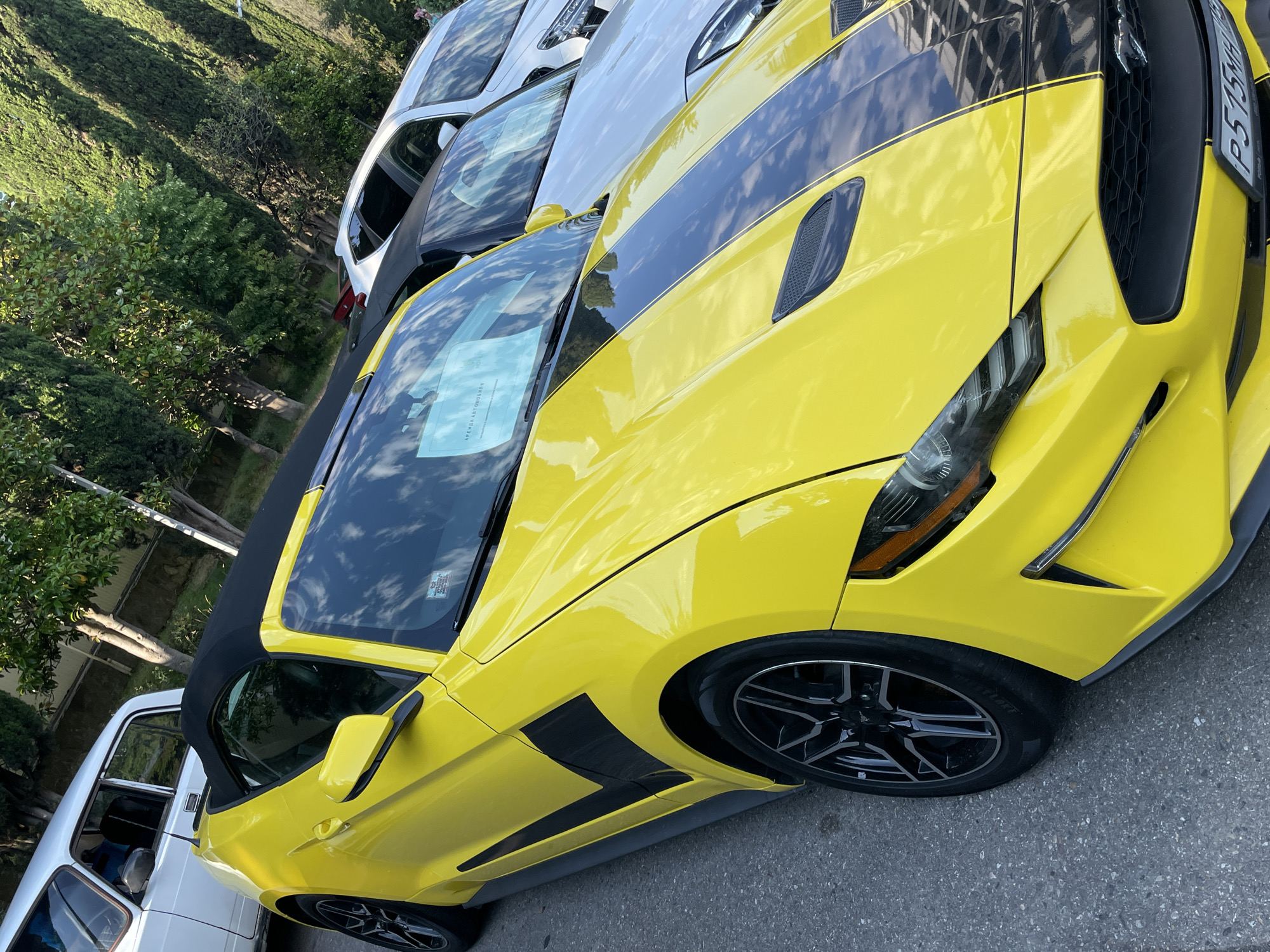 A bright yellow convertible sports car, possibly a Ford Mustang, is parked on an asphalt surface. The car features black racing stripes on its hood and a black convertible top. It has a prominent front grille and distinctive headlights. Next to it, a white car is visible, also parked. The background consists of lush green trees and foliage, suggesting an outdoor setting, possibly a parking lot or a street with landscaping. The scene is illuminated by natural light, indicating it is daytime. A license plate with Cyrillic characters is partially visible on the yellow car. The overall impression is one of automotive display or a moment captured during a car meet or casual parking.