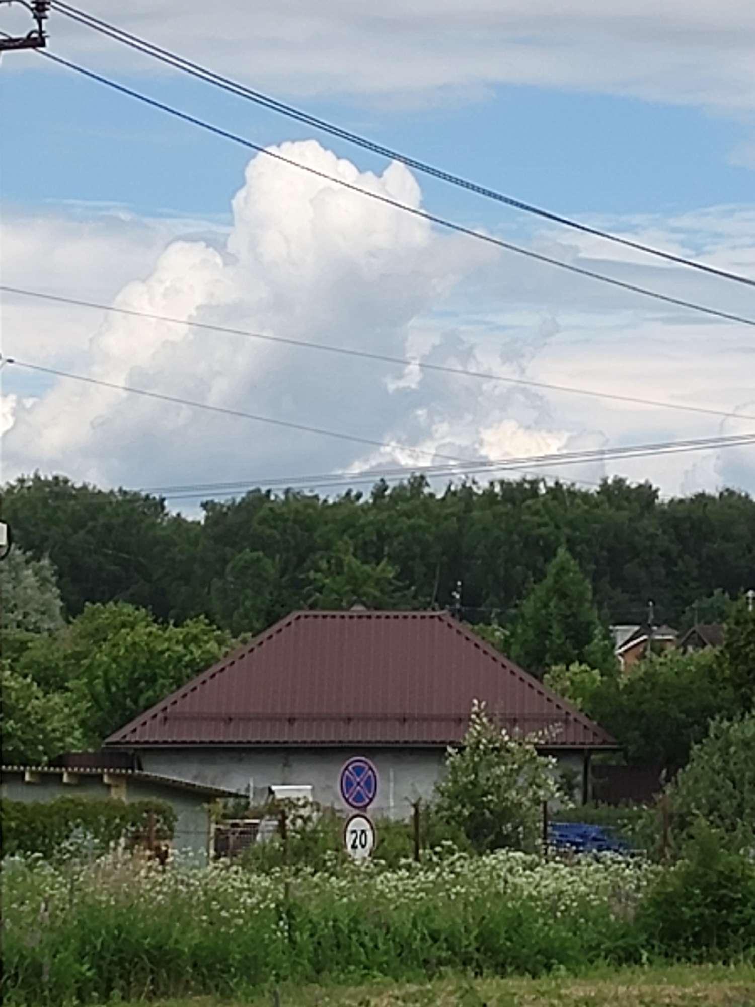 The image shows a house with a brown roof, surrounded by lush greenery. In the foreground, there are wildflowers and tall grass. In the background, a dense forest can be seen. Overhead, power lines traverse the sky, and dramatic clouds are visible. Two traffic signs are present near the house: one is a circular blue sign with a white cross, and the other is a circular white sign with the number "20" in black. The setting appears to be a rural or suburban area, possibly a dacha or country house location, consistent with the location of Русские Дали Снт, Russia. There are no people or animals visible in the image.