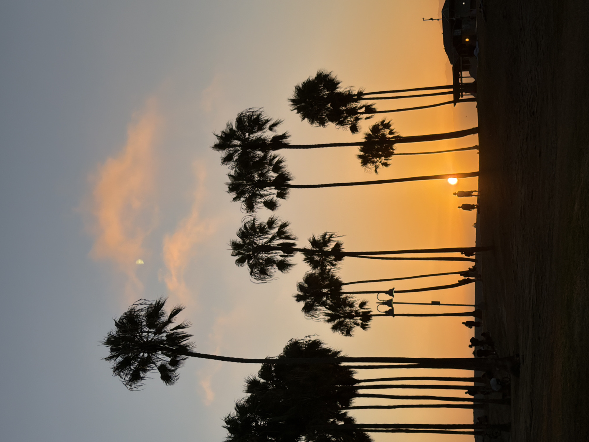 This is a silhouette photograph of a sunset at Venice Beach in Los Angeles, California. The sky is a gradient of orange and blue, with a few pinkish clouds. The sun is setting on the horizon, casting a warm glow over the scene. Palm trees are silhouetted against the sky, their fronds fanning out. Several people are visible on the beach, walking and standing. In the foreground, there is a grassy area. In the background, there is a building and some mountains. The overall impression is one of a peaceful and idyllic evening at the beach.