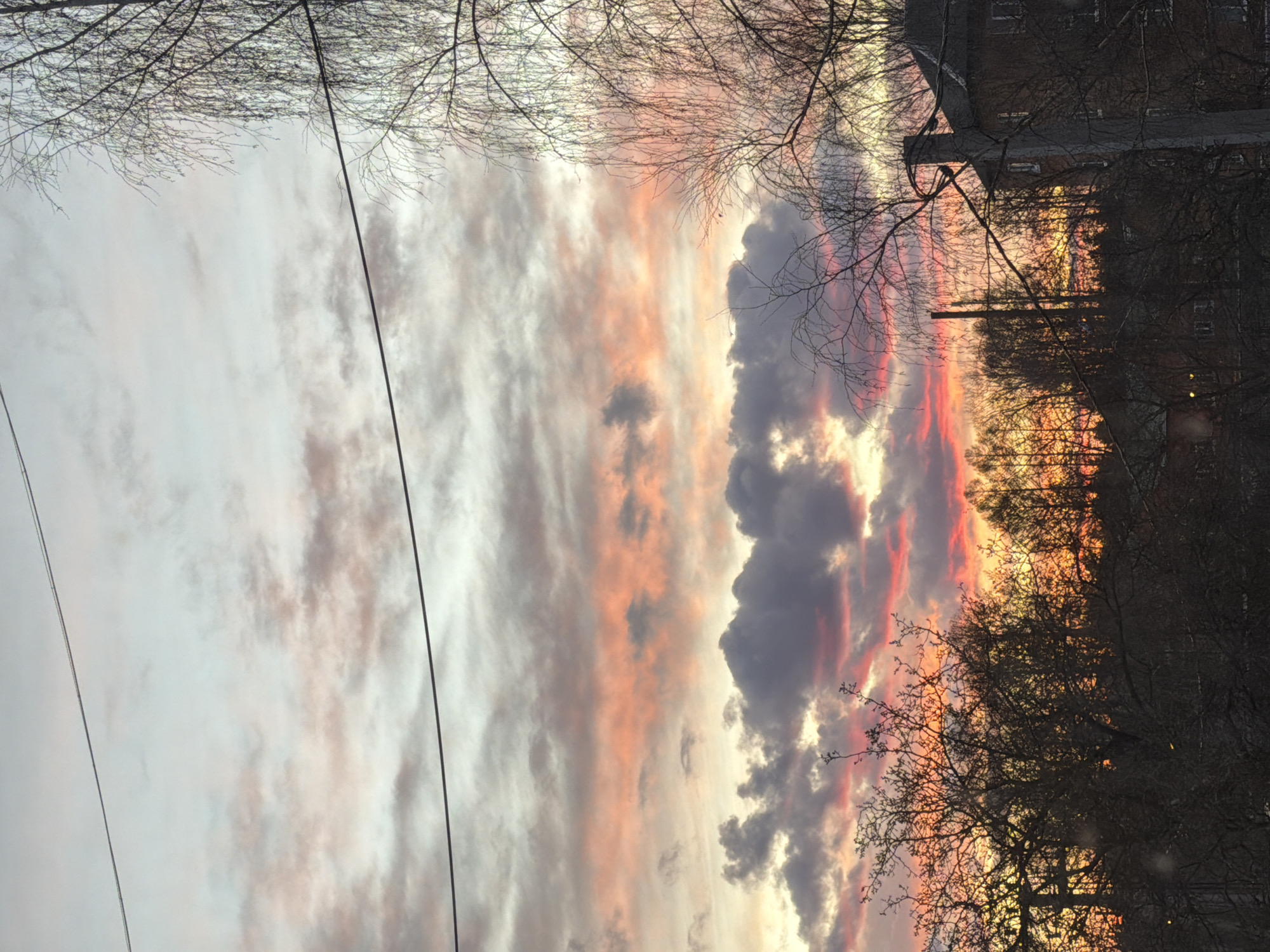 The image captures a sunset sky over Reshetnikovo, Russia. The sky is filled with streaks of grey, peach, pink, and red clouds. Silhouetted bare branches of trees line the right side of the frame, obscuring a multi-story building in the distance. Electrical wires are visible in the upper-left portion of the frame. The light is dim.