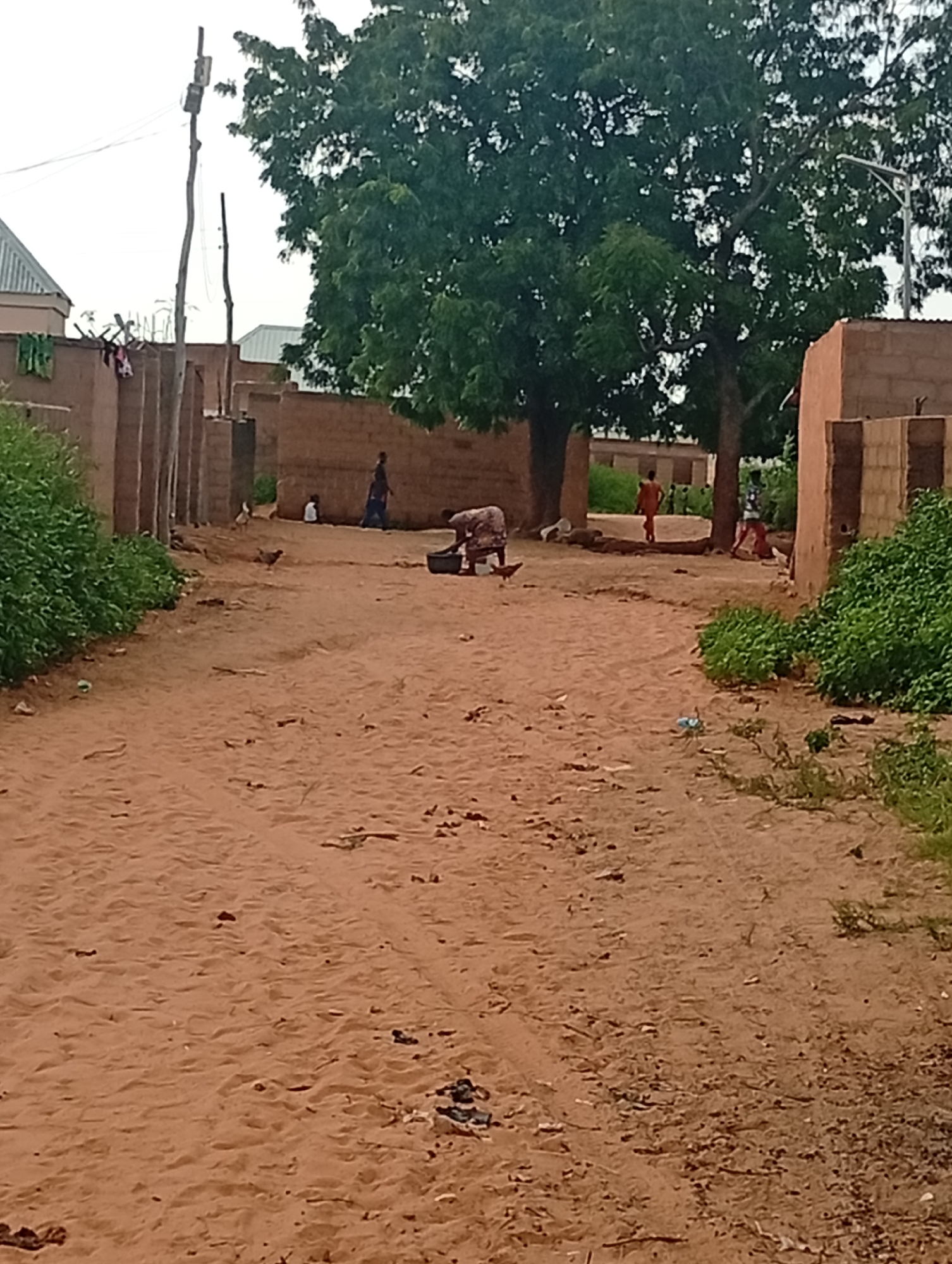 The image depicts a sandy, unpaved road in Tumfure, Nigeria. The road is lined with mud-brick buildings and abundant green foliage. Several people are visible throughout the scene. In the foreground, a person is tending to something in a dark container on the ground. Further down the road, a child is seated on the ground, and a person in a blue garment is walking. Two chickens are also present on the road. In the background, a large tree with dense foliage dominates the landscape, and electrical poles and wires are visible. The overall impression is of a rural or semi-urban environment with evidence of daily life activities.
