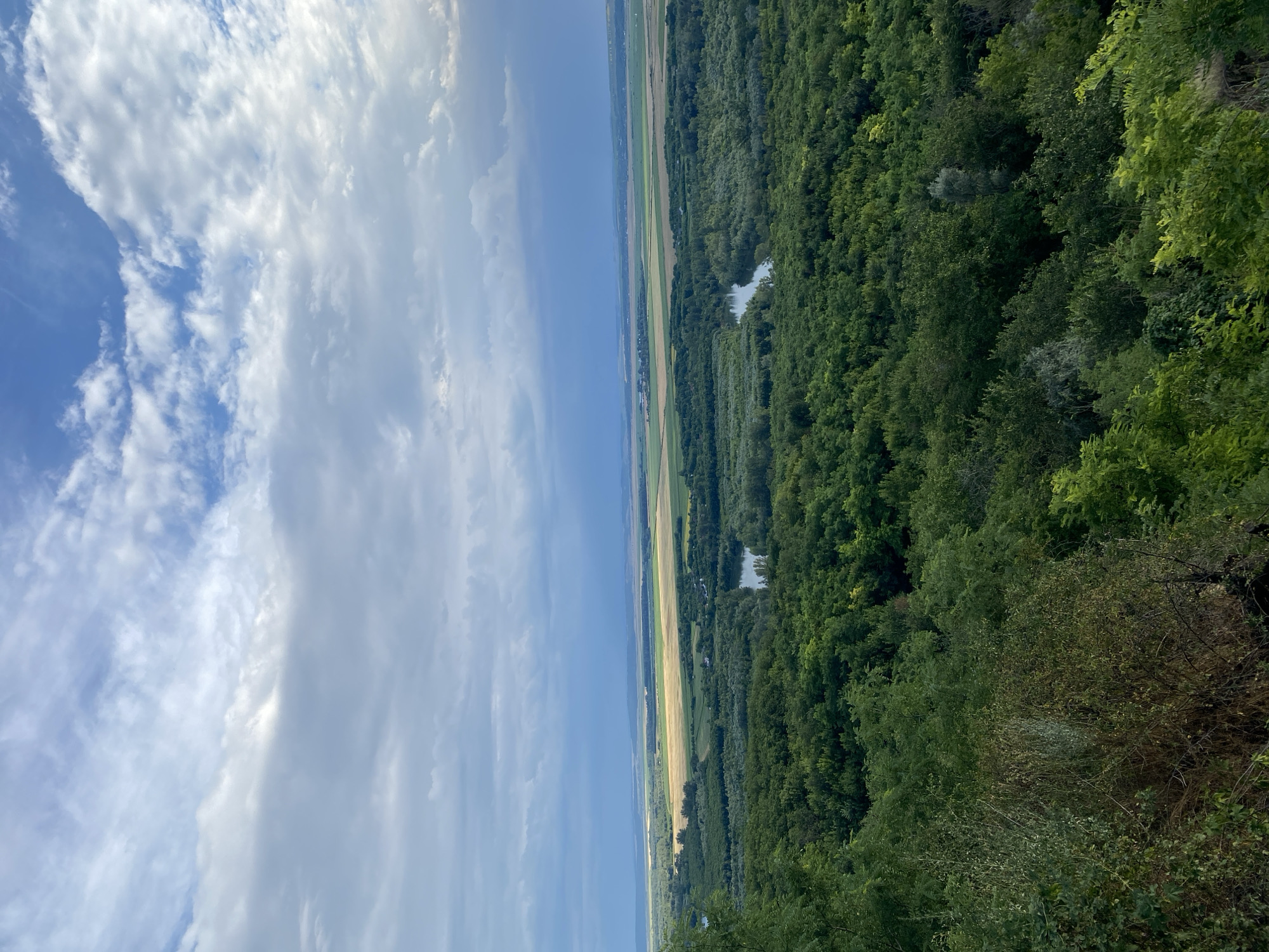 The image captures a panoramic landscape view from an elevated position, likely a hill or viewpoint, overlooking a vast expanse of terrain. In the foreground, dense, lush green trees dominate the lower portion of the frame, with some dry, thorny underbrush visible on the left. As the eye moves further into the mid-ground, the dense forest gives way to a winding river or water channel that snakes through the trees. Beyond the river, the landscape transitions into agricultural fields, with patches of yellow and green indicating cultivated land. In the distance, rolling hills and a hazy horizon are visible under a dramatic sky filled with a mix of white, gray, and blue clouds, suggesting dynamic weather conditions. The overall impression is one of natural beauty and rural serenity. The location is identified as being in the city of Horești, Moldova.