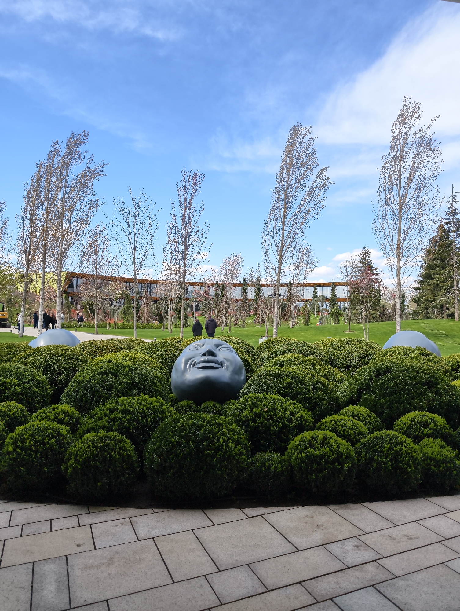 The image displays a modern, landscaped park or garden under a bright, partly cloudy blue sky. In the foreground, a light-colored paved pathway, composed of rectangular and square tiles, curves around a circular bed of neatly trimmed, rounded green bushes. Emerging from these bushes are two large, smooth, gray art sculptures: one is a prominent, smiling human face, and the other is a large, dome-shaped object further to the left.
The midground features a wide expanse of vibrant green lawn, dotted with numerous deciduous trees that are mostly bare-branched or showing very sparse leaves, indicating early spring. Several evergreen trees are also visible, particularly on the right side. In the background, a long, modern building with large glass windows and a natural-toned facade runs horizontally across the scene.
Several people are scattered throughout the park, appearing to be casually walking or observing. Two individuals in dark clothing are more prominent near the center of the midground. The scene is bathed in bright daylight, suggesting it is midday or early afternoon. The weather appears pleasant and clear. The smiling sculpture adds a whimsical touch to the meticulously designed landscape. There is no visible text in the image.