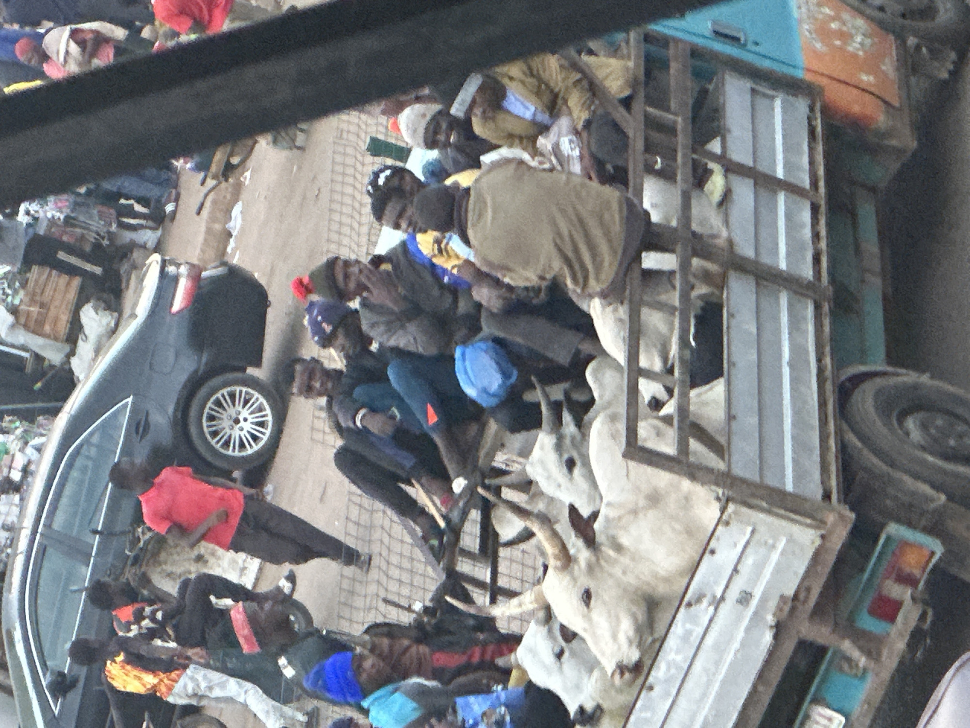 In Bukuru, Nigeria, a mobile scene unfolds around a flatbed truck loaded with cattle. The truck, a predominantly blue and orange vehicle, features a metal cage containing several white cattle, some with visible horns. A portion of the truck's rear license plate is visible, displaying blue and white characters. In the foreground, a dark, angular structure partially obstructs the view of the truck.
To the left of the truck, a black car with a silver rim is parked. Several individuals are positioned around the car and the truck, suggesting a market or a transportation hub. One man in a red t-shirt stands near the car, while others are seated or standing closer to the truck, some interacting with the cattle. The ground appears to be a mixture of dirt and pavement. In the background, blurred figures and structures suggest a bustling urban environment.