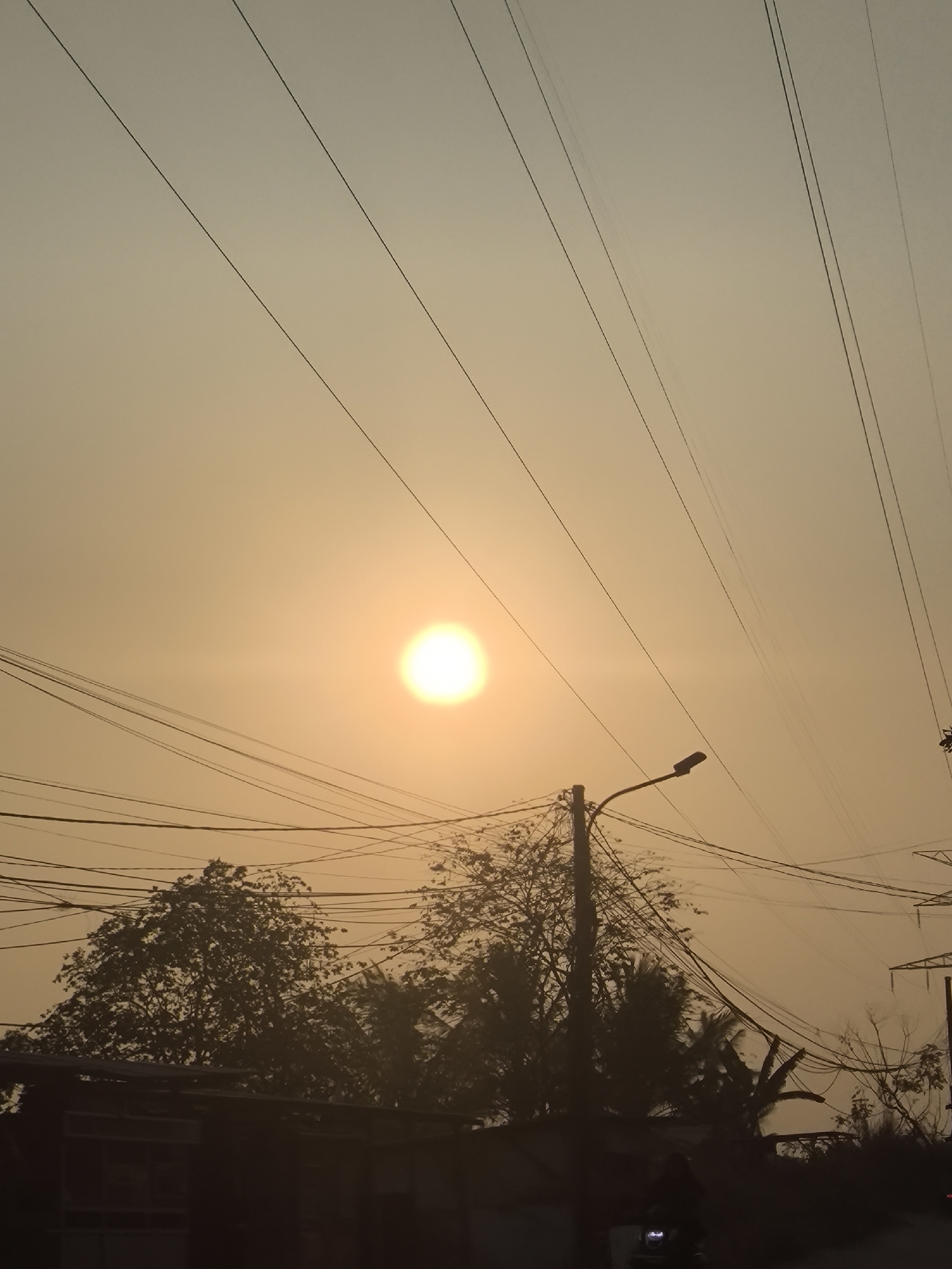 The image captures a hazy sunset over Cilegon, Indonesia. The sun, a bright orb, is partially obscured by atmospheric conditions, casting a warm, golden glow across the sky. Several power lines crisscross the frame, silhouetted against the luminous sky, indicating an urban or semi-urban setting. In the foreground, the dark silhouettes of trees and possibly buildings are visible, suggesting a street-level perspective. A lamppost stands on the right, its light fixture dark against the sky. The scene is devoid of clear human activity, though a faint outline of a motorcycle with illuminated headlights is discernible in the lower portion of the frame, hinting at passing traffic. The overall impression is one of a serene, yet slightly melancholic, urban twilight.