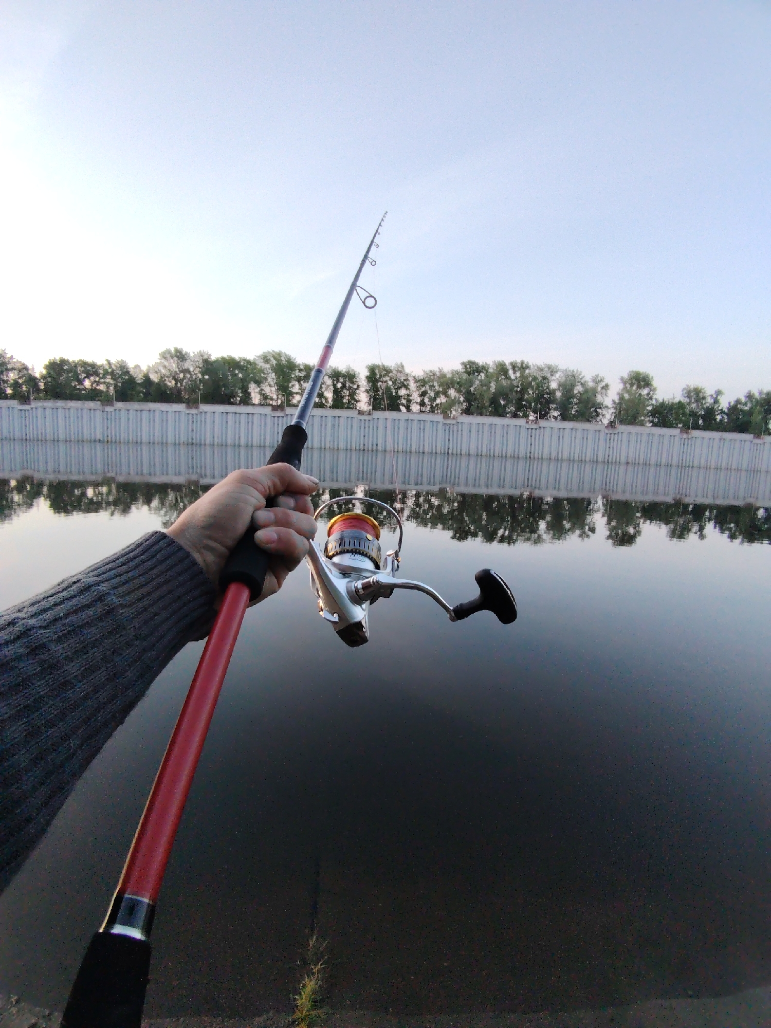 A person wearing a gray sweater holds a red and black fishing rod with a silver reel, facing the dark water of a river. Across the river is a gray concrete wall with a row of green trees above it. The sky is light blue. The location is Chaikovsky, Russia.