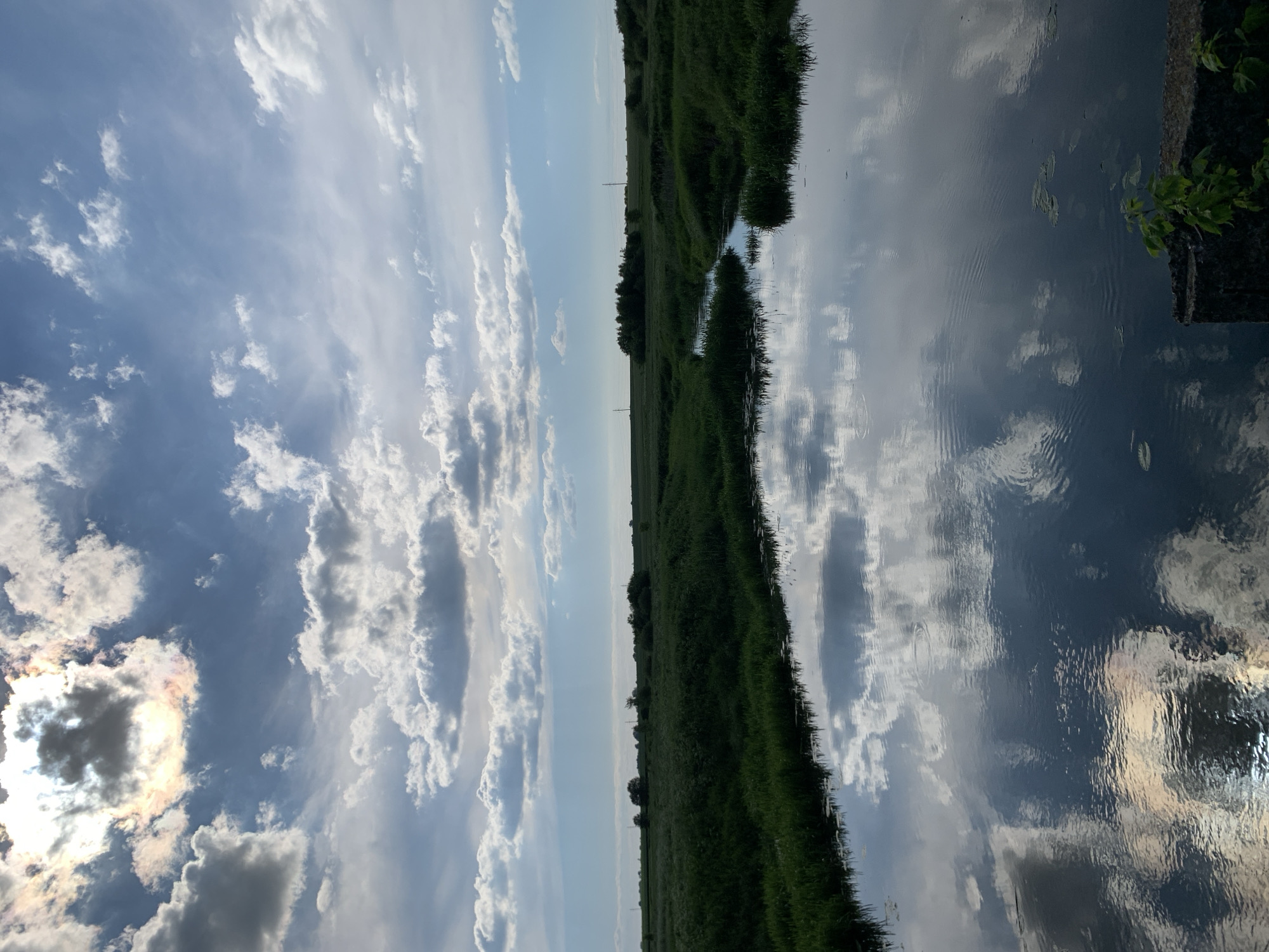 The image depicts a serene, natural landscape in the vicinity of Блеўчыцкі сельскі Савет, Belarus. The scene is dominated by a calm body of water in the foreground, reflecting the sky and surrounding vegetation. The water is a dark, still surface, with ripples from a recent disturbance visible in the center right. Lily pads float gently on the water's surface.
The water is bordered by lush, vibrant green grass and reeds, which form dense banks. Beyond the immediate water's edge, the landscape opens into a vast expanse of cultivated fields and meadows, stretching towards a distant horizon. Scattered trees and shrubs dot the middle ground, adding depth and texture to the scene. In the far distance, faint silhouettes of power lines or structures can be seen against the sky.
The sky above is a dramatic canvas of blue, adorned with a variety of clouds. The sun is partially obscured by a large, dense cloud, creating a halo effect with iridescent colors, suggesting a late afternoon or early evening light. Other clouds are scattered across the sky, some puffy and white, others more wispy and grey. The overall impression is one of peaceful, unspoiled natural beauty. No people or animals are visible in the frame. A small, concrete structure with green foliage growing on it is visible in the lower right corner of the image, partially framing the water.
