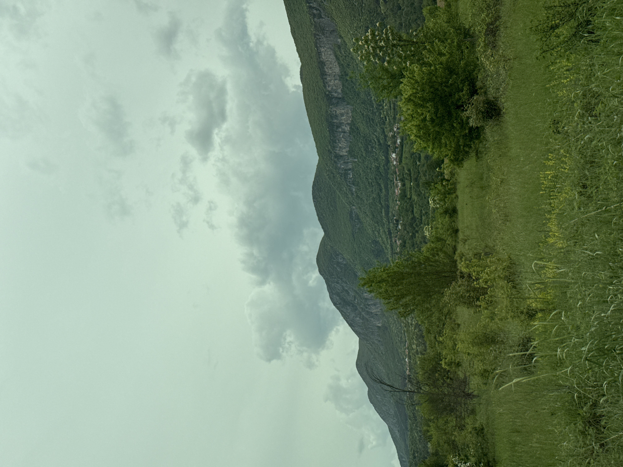 The image depicts a landscape in Moravitsa, Bulgaria. A tall, green mountain dominates the right side of the frame. The mountain has visible layers of rock and is covered with trees and vegetation. At the base of the mountain, there are small settlements. To the right of the mountain, there is a field covered in tall grass and bushes. The sky is overcast with grey clouds.