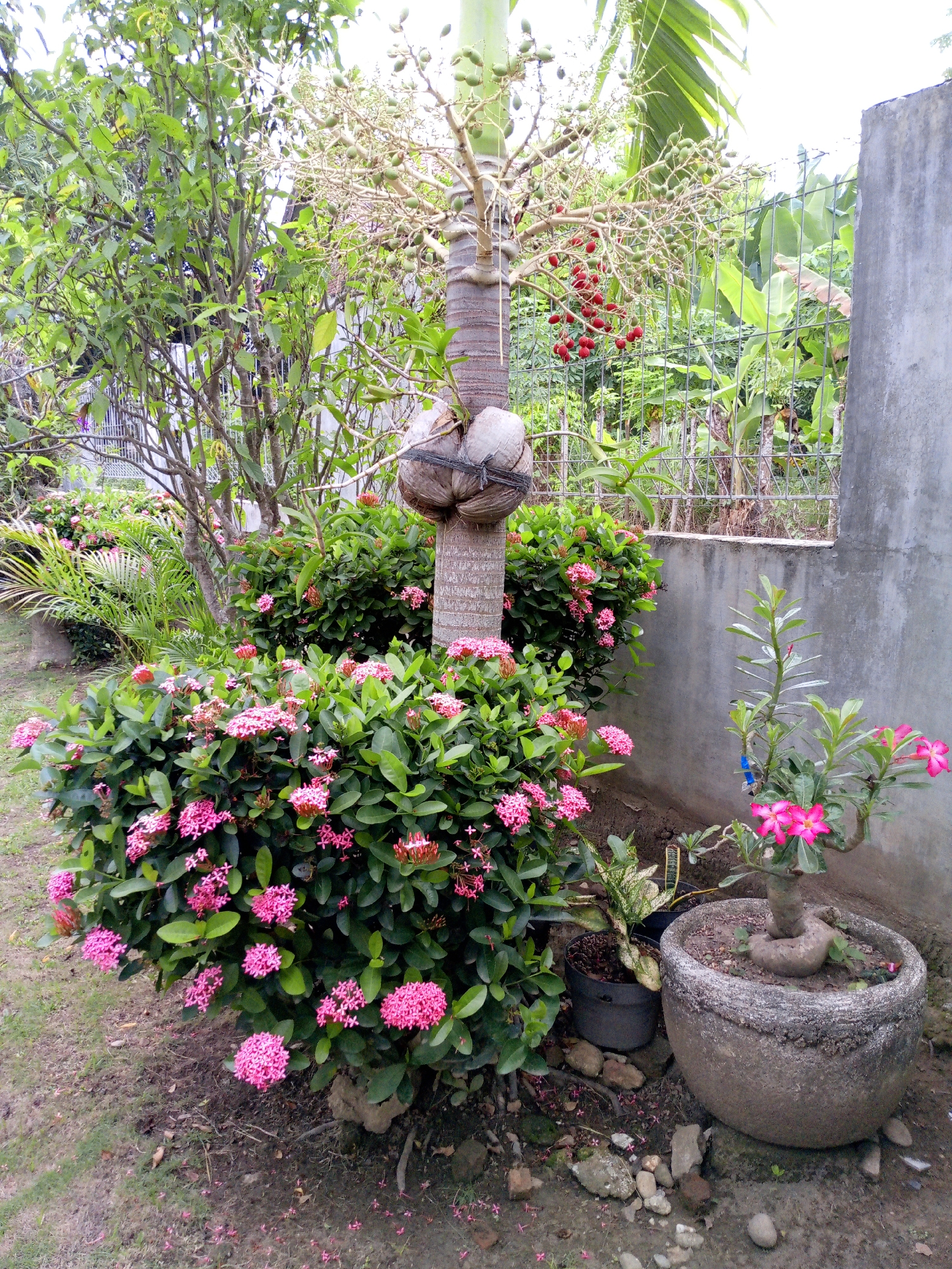 Memory