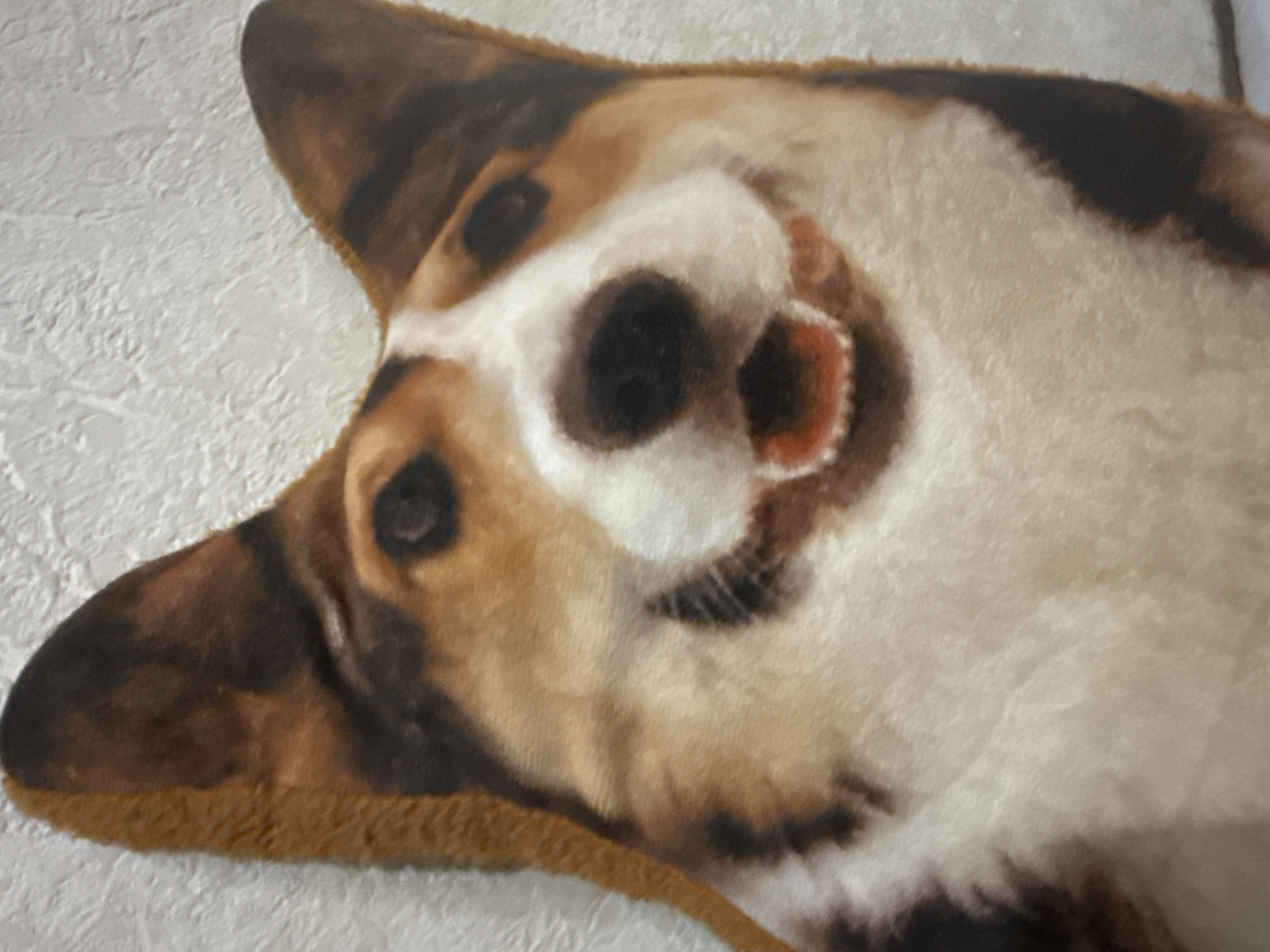 A plush pillow, shaped like a Corgi's head, is shown in a close-up, vertical shot. The pillow has brown and white fur markings with black eyes and nose, and a pink tongue sticking out. The pillow is positioned against a textured, light-colored wall. The image is an indoor photograph taken in an unknown location.