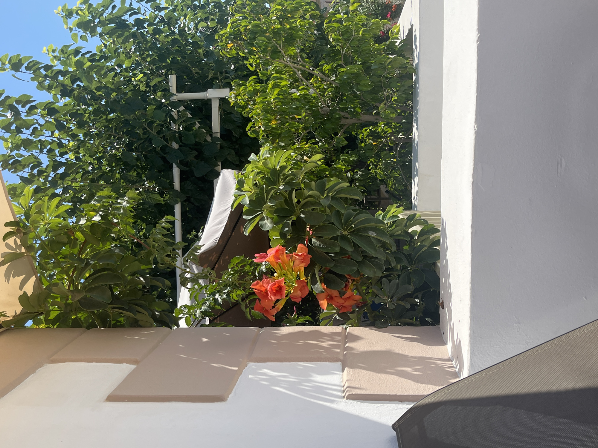 The image depicts a sunlit outdoor scene with a view of lush greenery and bright orange trumpet flowers. To the left, a cream-colored wall with recessed panels is visible, casting shadows. In the foreground, a portion of a dark gray outdoor chair is present. The background is filled with dense green foliage and trees, with a clear blue sky above. A white pipe structure is also visible amidst the leaves. The overall impression is one of a peaceful and vibrant outdoor space, likely in a Mediterranean setting like Exopoli, Greece, suggested by the architectural style and vegetation.