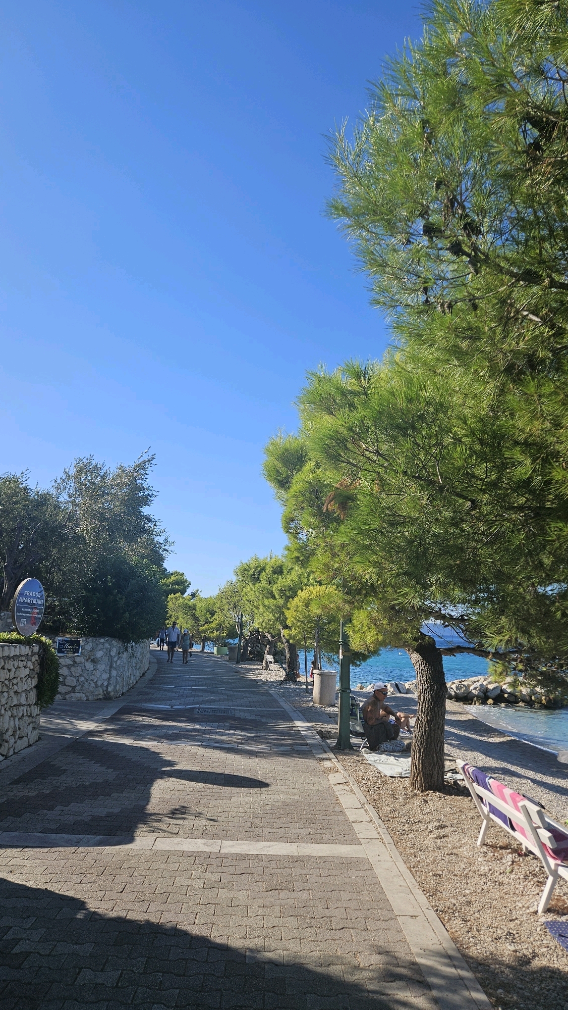 This is a vertical, eye-level shot of a paved walkway alongside a pebble beach in Općina Tučepi, Croatia. The walkway is lined with mature pine trees on the right, their branches casting shadows on the pavement. On the left, a stone wall separates the walkway from dense green foliage. The sea, a vibrant turquoise, is visible to the right of the trees. The sky is a clear, bright blue.
In the foreground, two lounge chairs with pink and purple stripes are placed on the pebble beach. Further down the walkway, a person with tattoos is sitting on the ground under a pine tree, looking towards the sea. Several other individuals are walking along the path in the distance. A circular sign advertising "FRADON APARTMANI" is mounted on the stone wall on the left. The overall scene depicts a tranquil coastal path on a sunny day.
