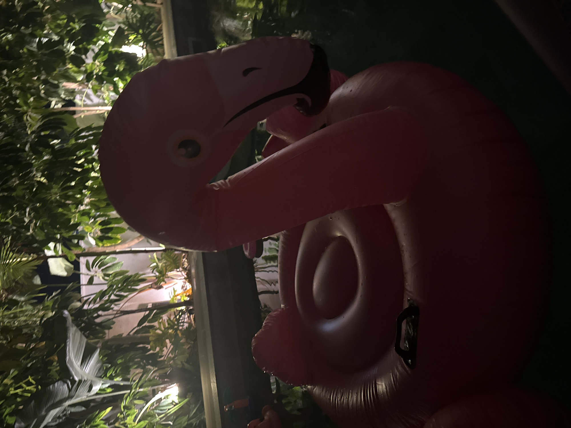 An inflatable pink flamingo float is partially submerged in a dark body of water, likely a pool, at night. The flamingo is positioned in the foreground, occupying a significant portion of the frame. Its neck is curved upwards and its head faces to the right, with a black beak and an eye visible. The body of the float is round and has a textured surface. A black handle is attached to the top of the float. Behind the flamingo, lush green foliage and trees are illuminated by soft lighting, suggesting an outdoor setting, possibly a garden or patio area. The background shows some concrete structures and further vegetation, indicating a well-maintained outdoor space in Agios Tychona Community, Cyprus. The lighting suggests it is evening or nighttime.