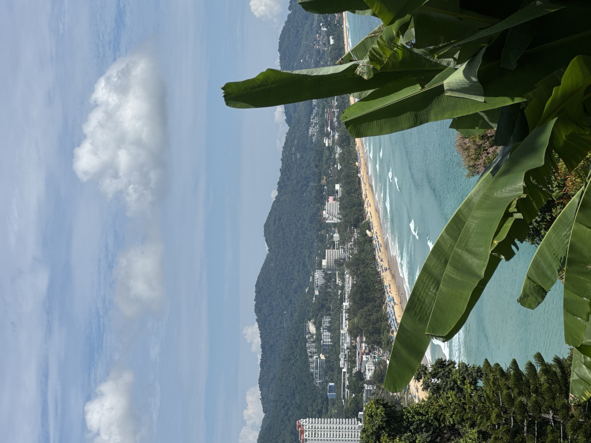 The image presents an aerial view of Karon Beach in Karon, Thailand. In the foreground, large green banana leaves partially obscure the scene. Beyond the foliage, a long stretch of golden sand beach is visible, lined with numerous blue and white striped beach umbrellas and loungers. People are scattered across the beach, some walking, some sitting, and others appearing to be in the water. The turquoise ocean is calm, with gentle waves breaking near the shore. In the background, a densely populated urban area with hotels and buildings stretches along the coastline, backed by lush green, tree-covered hills. The sky above is a clear blue with scattered white, puffy clouds.