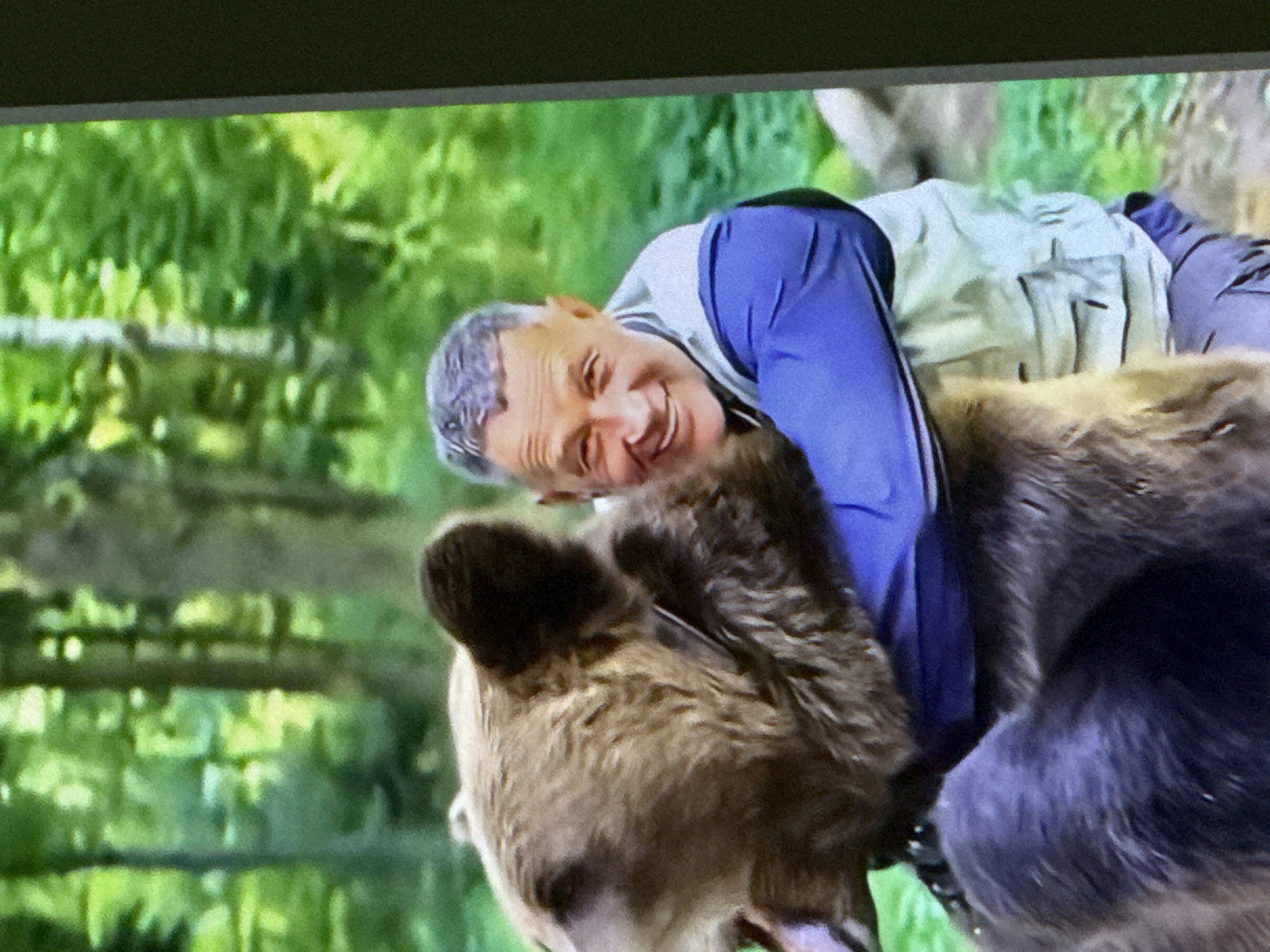 In a sun-dappled forest with green foliage and trees, a man with short gray hair and a light-colored vest over a blue shirt embraces a large brown bear. The man is smiling broadly and appears to be enjoying the interaction, with the bear's head turned towards him, its mouth open. The bear is wearing a collar. The scene takes place outdoors, likely in a natural environment. There is no visual information within the image to suggest a specific location in the city of Cahul, Moldova.