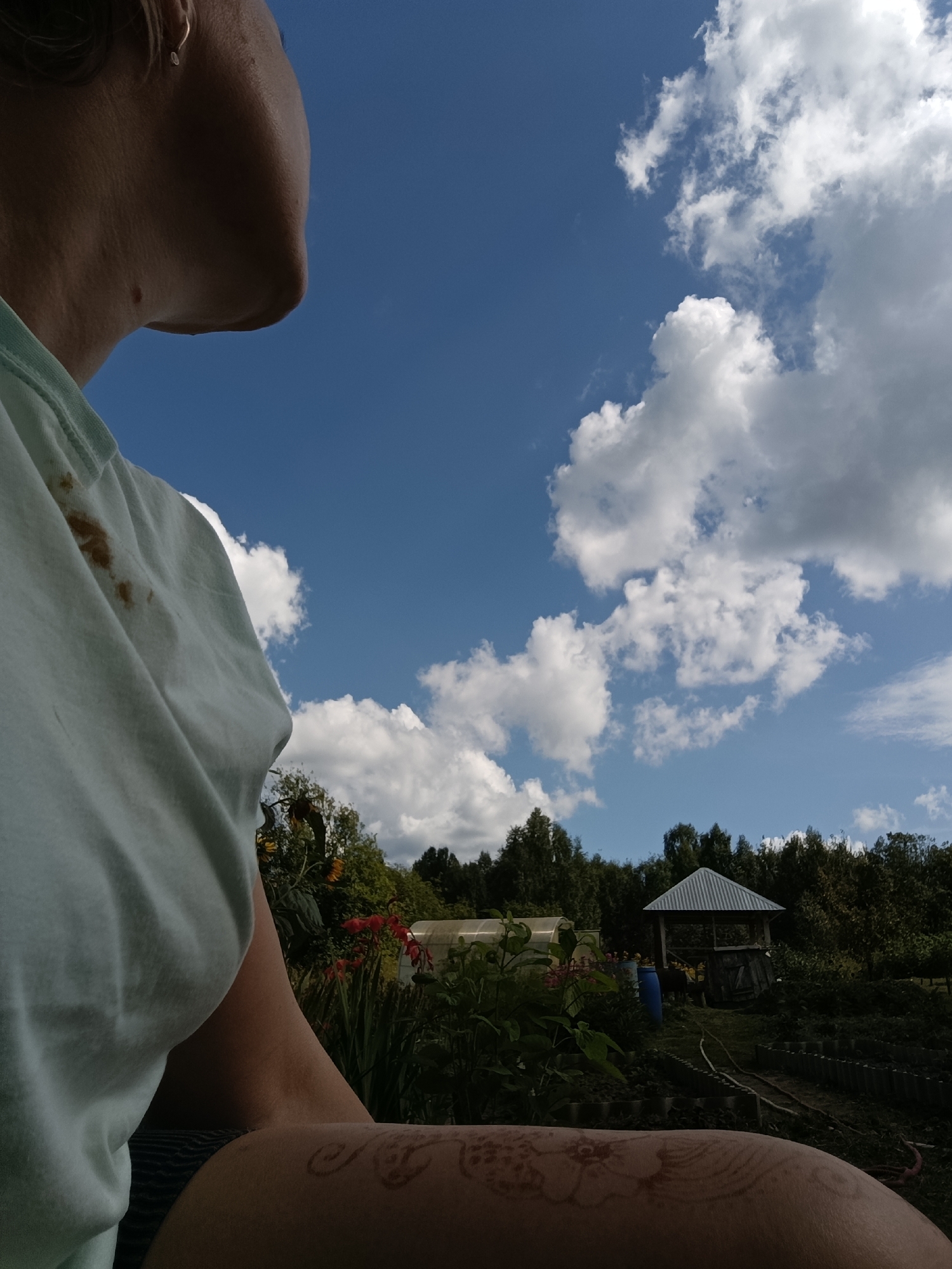 A person's shoulder and neck are visible in the foreground of the image, facing away from the camera and looking towards a bright blue sky filled with white, fluffy clouds. The person is wearing a light blue t-shirt with some brownish stains on the shoulder. Part of their arm is also visible, showing a henna tattoo. In the background, a garden landscape unfolds, featuring lush greenery, red flowers, and a small gazebo with a silver roof. There are also hints of a greenhouse and a blue barrel. The scene appears to be set in a rural environment, possibly a backyard or a garden. The location is identified as Dubovaya, Russia.